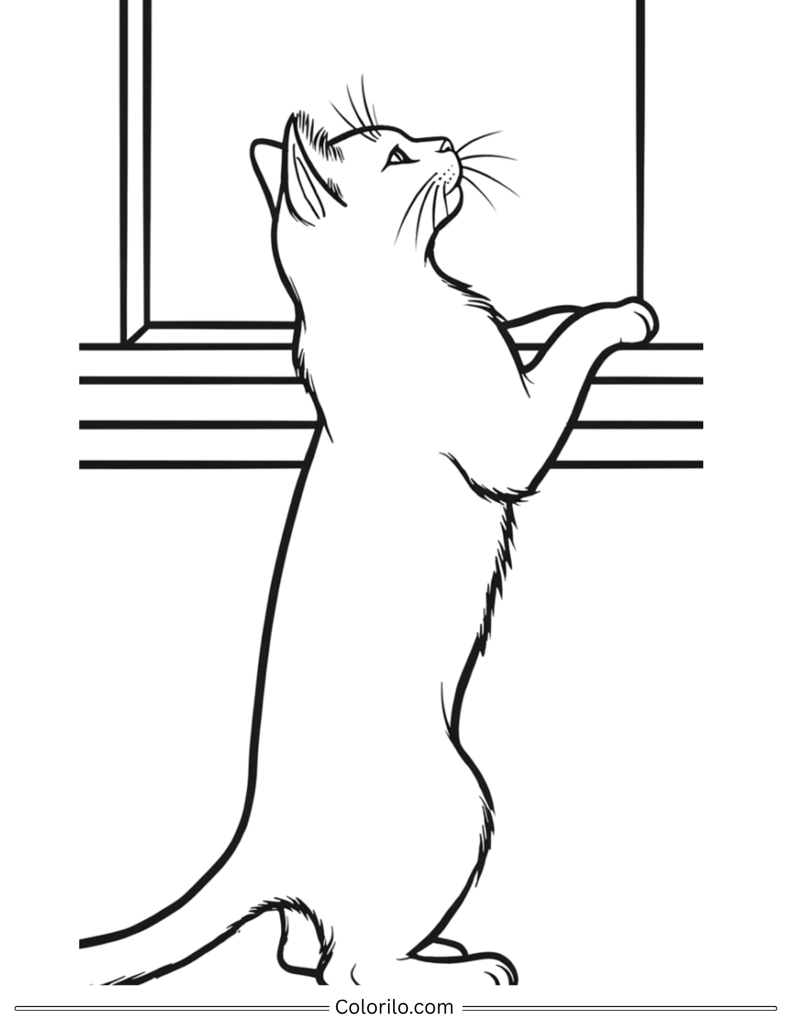 Cat standing on hind legs looking out window coloring page
