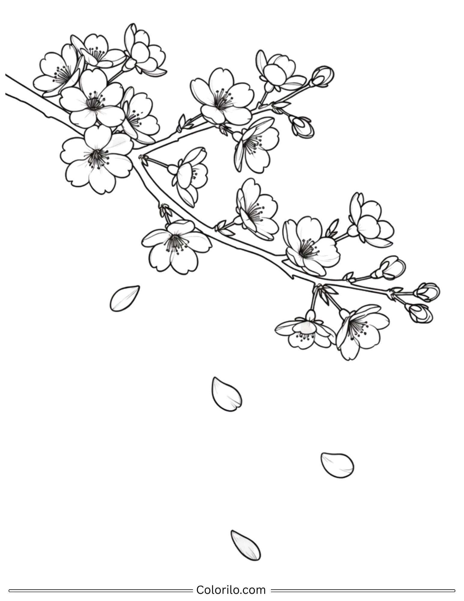 Cherry blossom branch with falling petals coloring page