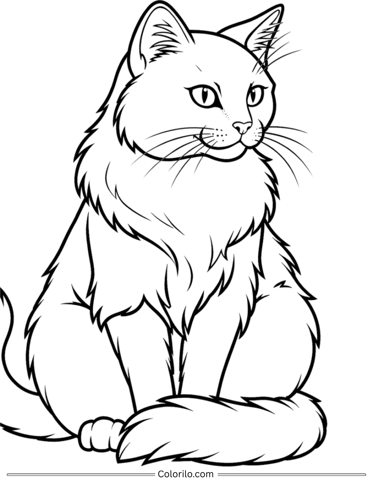 Fluffy long-haired cat sitting portrait coloring page