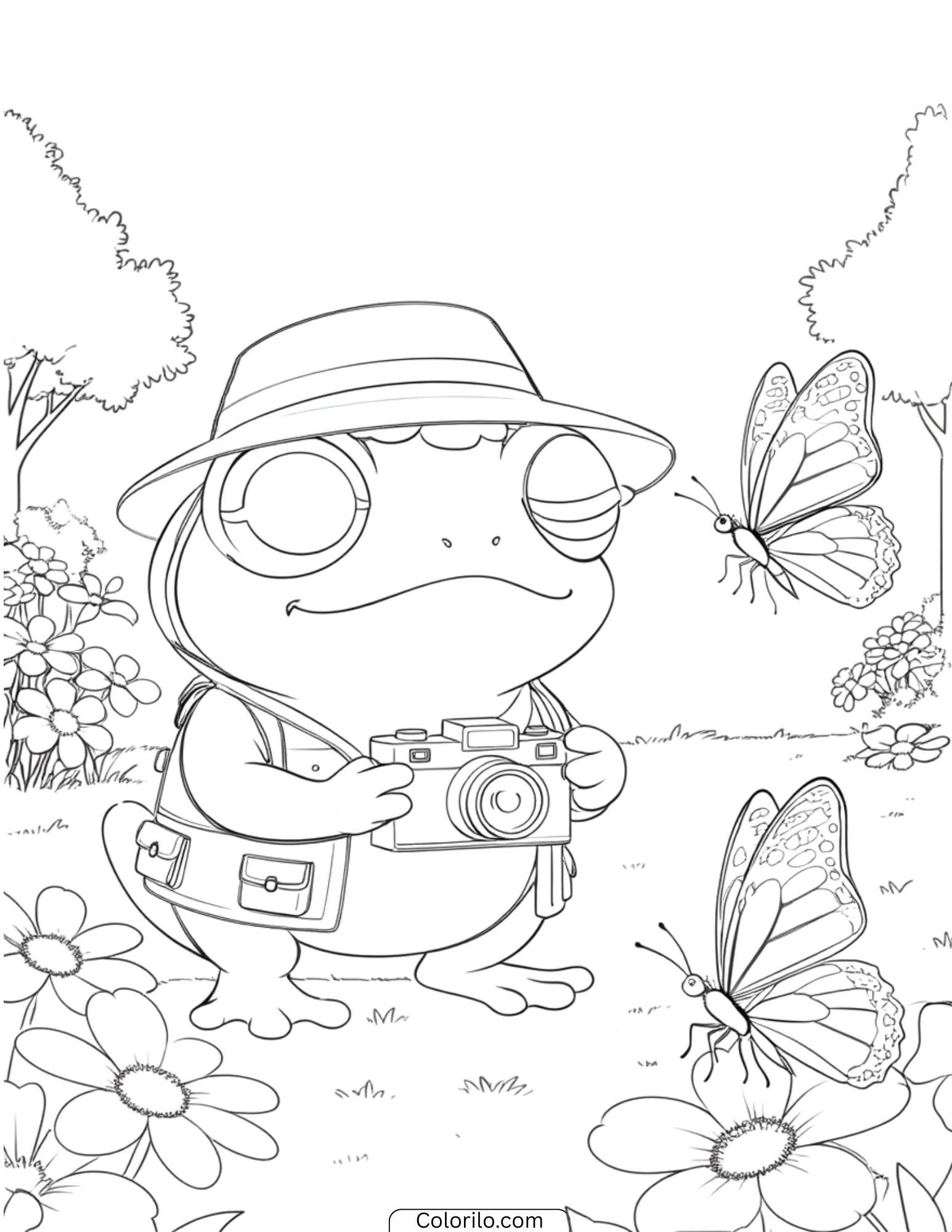 Frog photographer with camera and butterflies coloring page