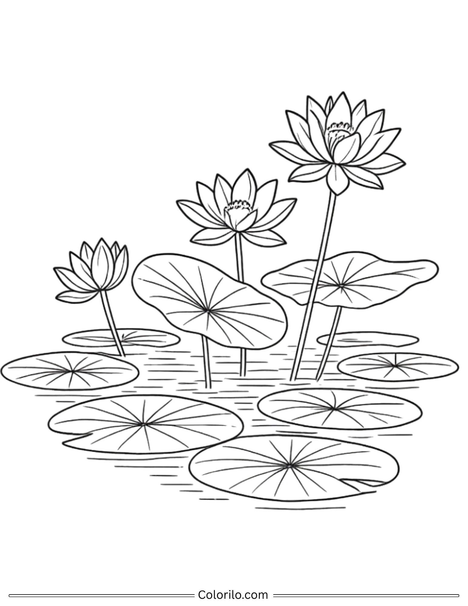Lotus flowers on pond with lily pads coloring page