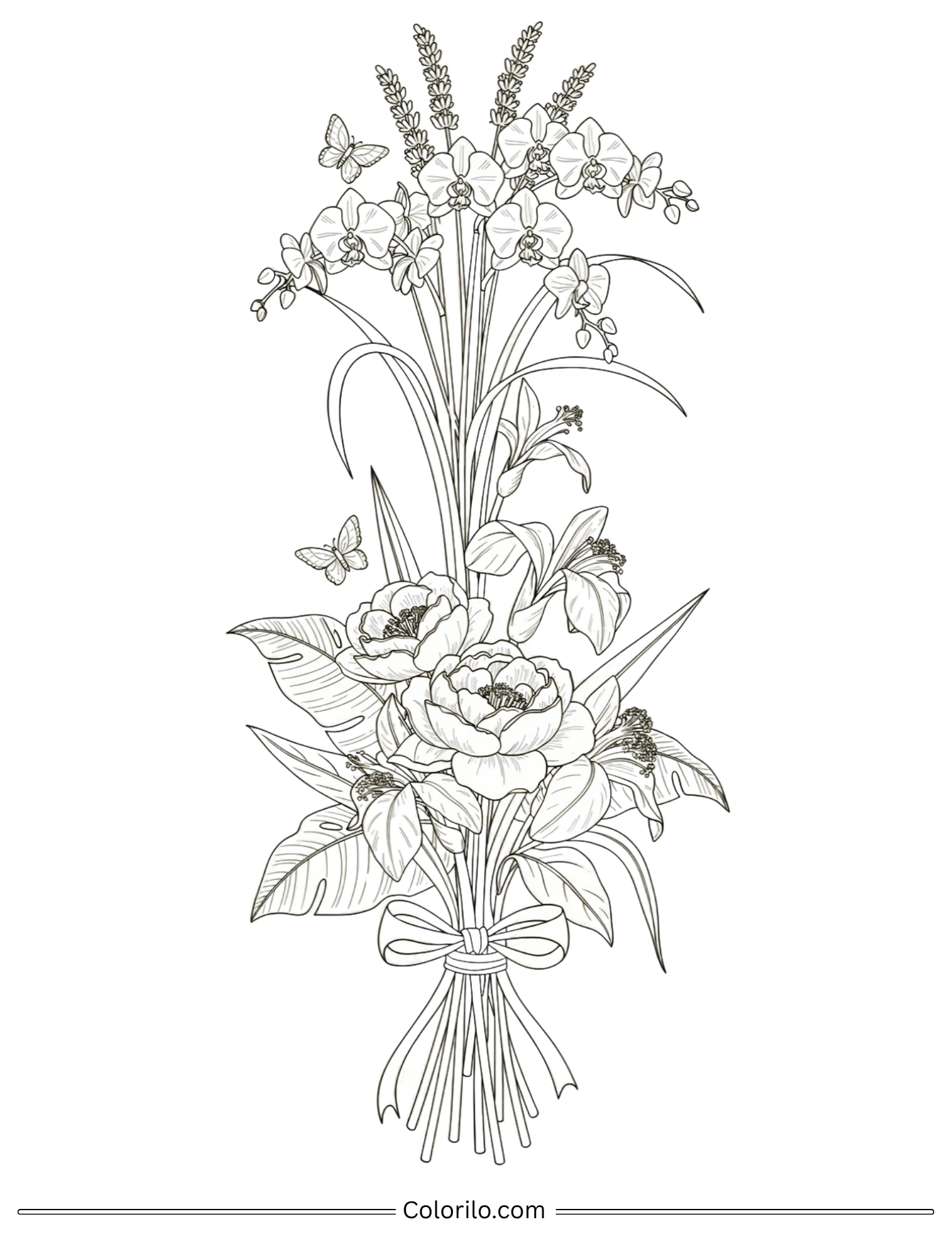 Orchid bouquet with butterflies coloring page