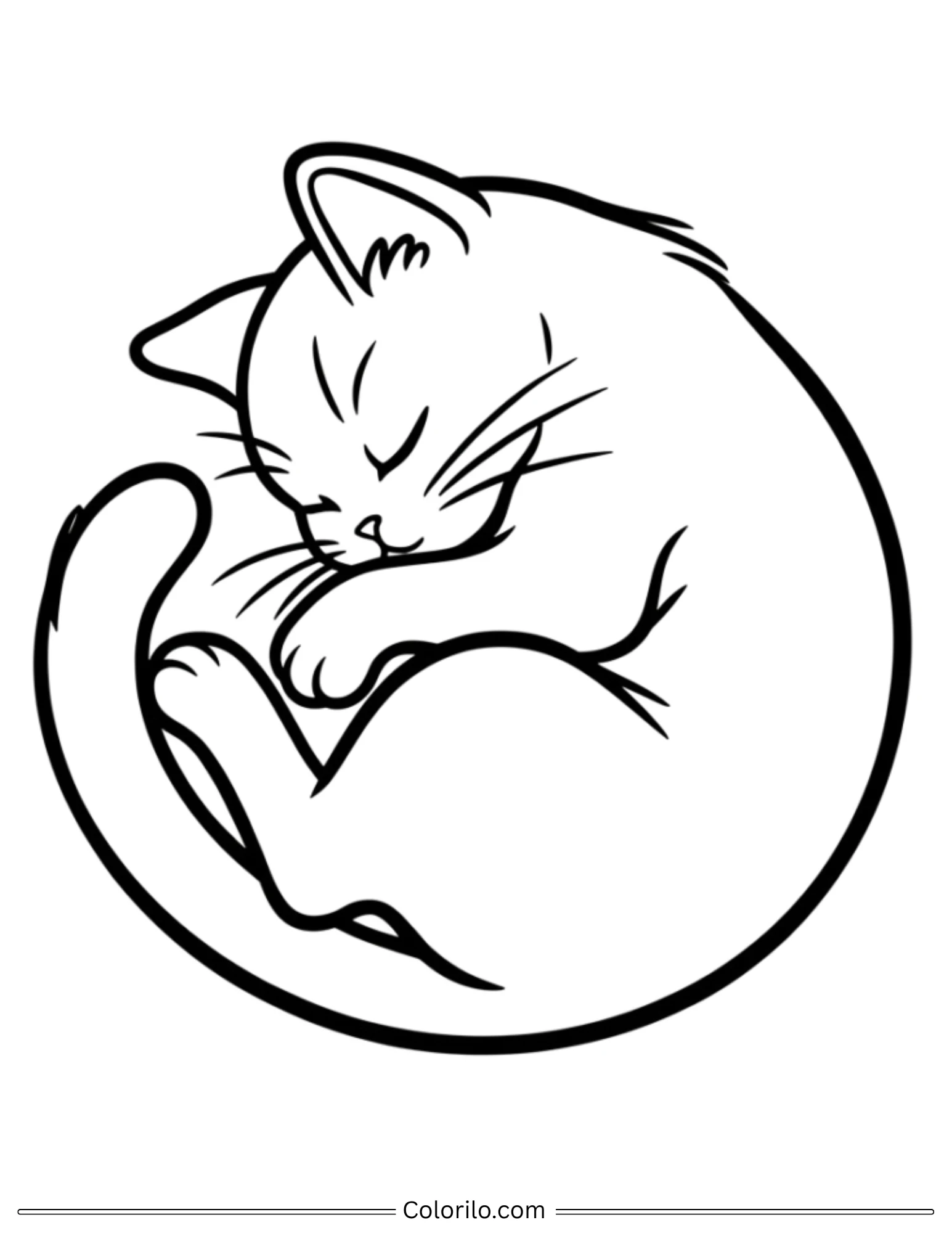 Sleeping cat curled into a circle coloring page