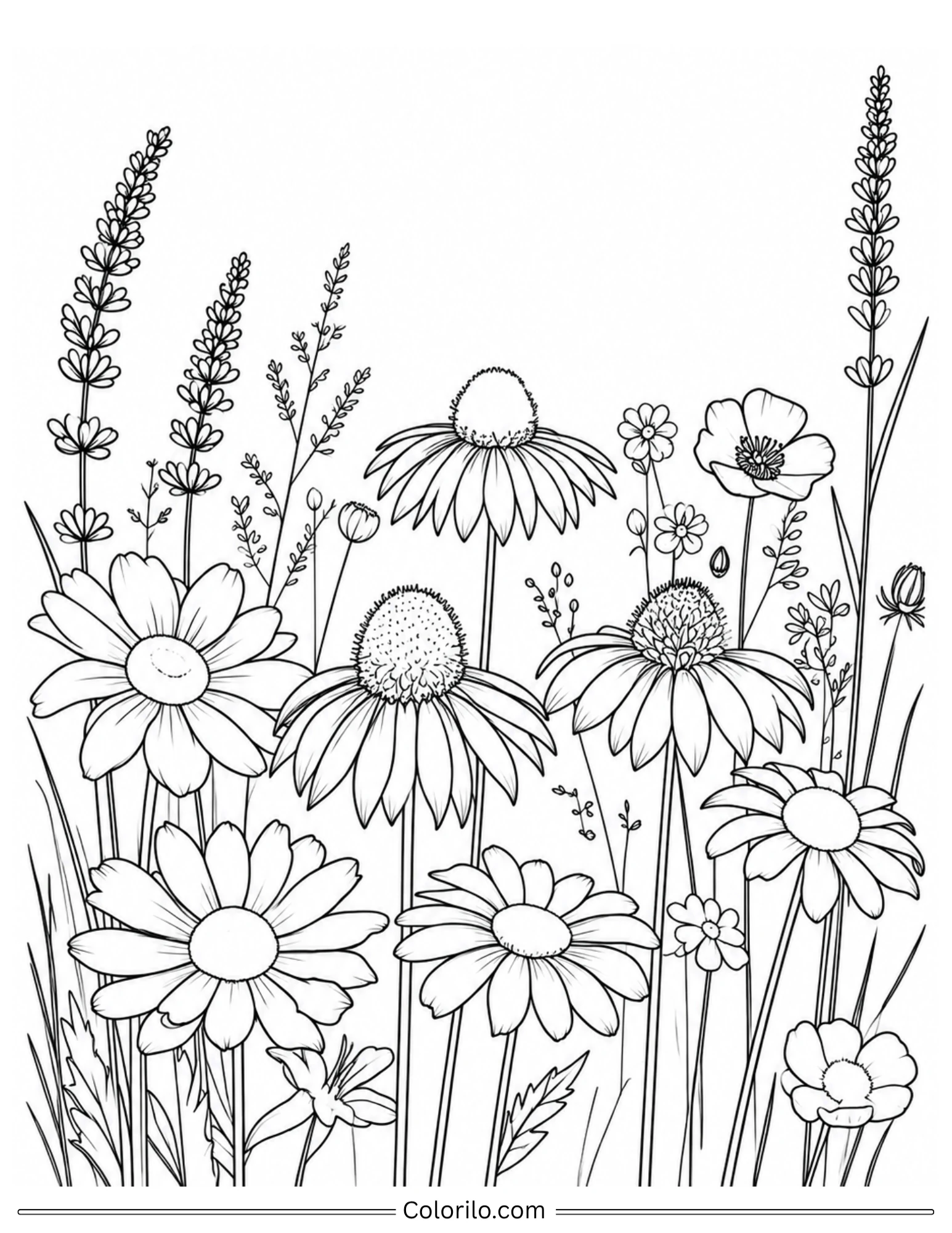 Wildflower meadow with daisies coloring page for adults