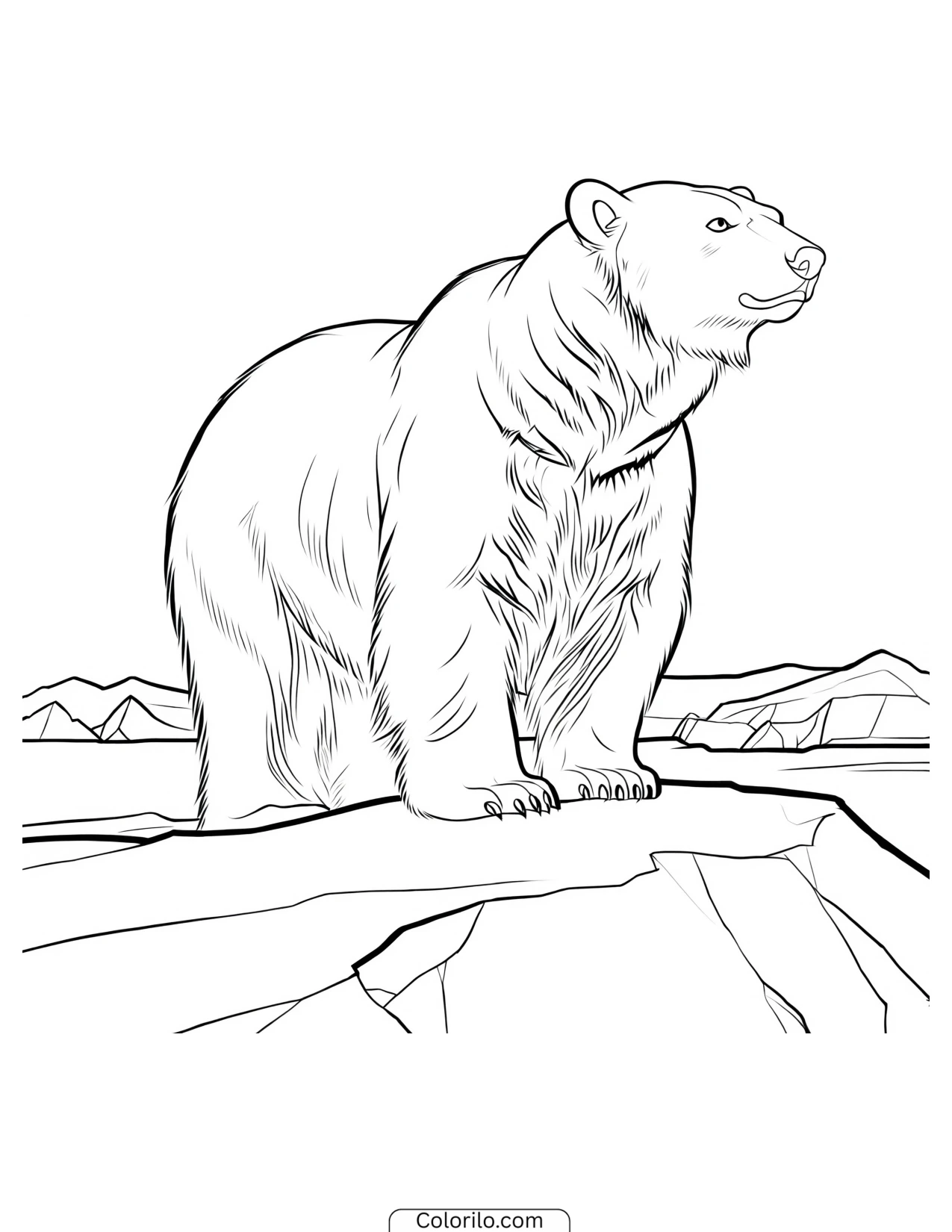 Polar bear standing alert on an icy ledge coloring page