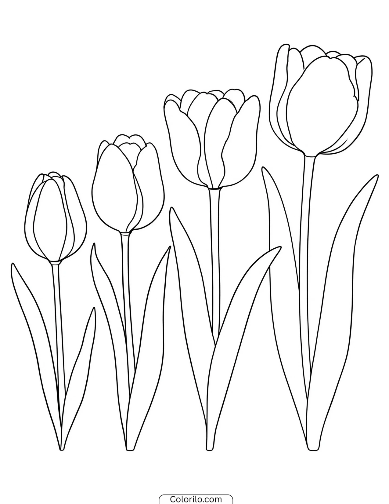 Sketched tulips rising in ascending height coloring page