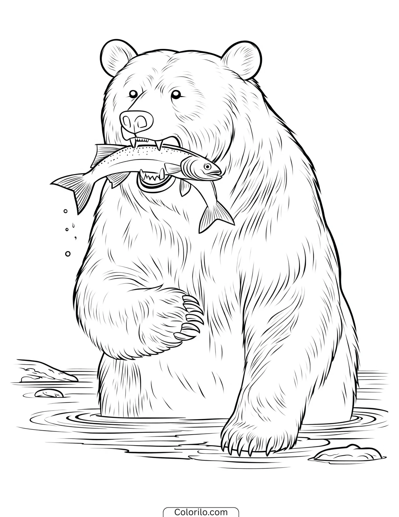 Bear catching a fish in the water coloring page