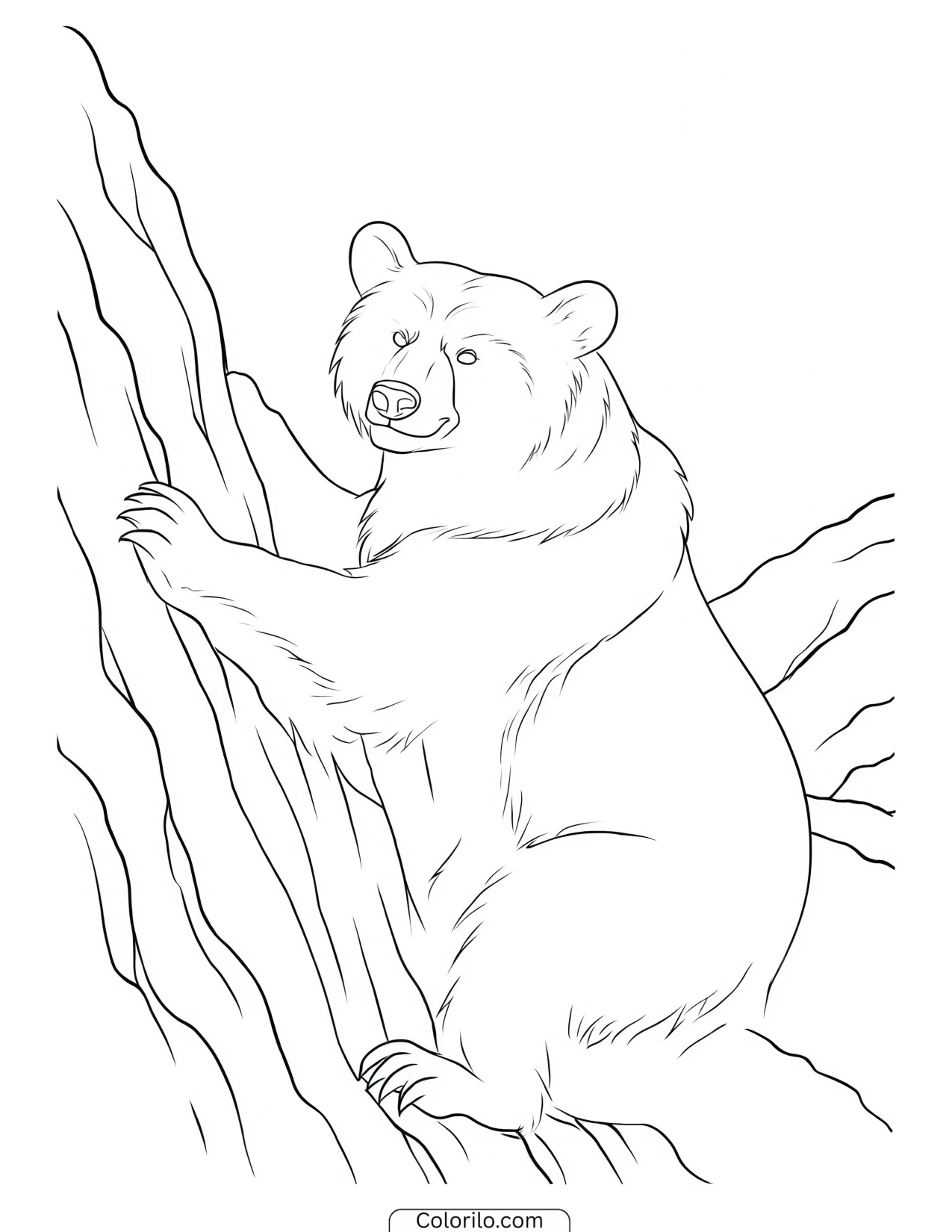 Bear climbing and glancing back over its shoulder coloring page