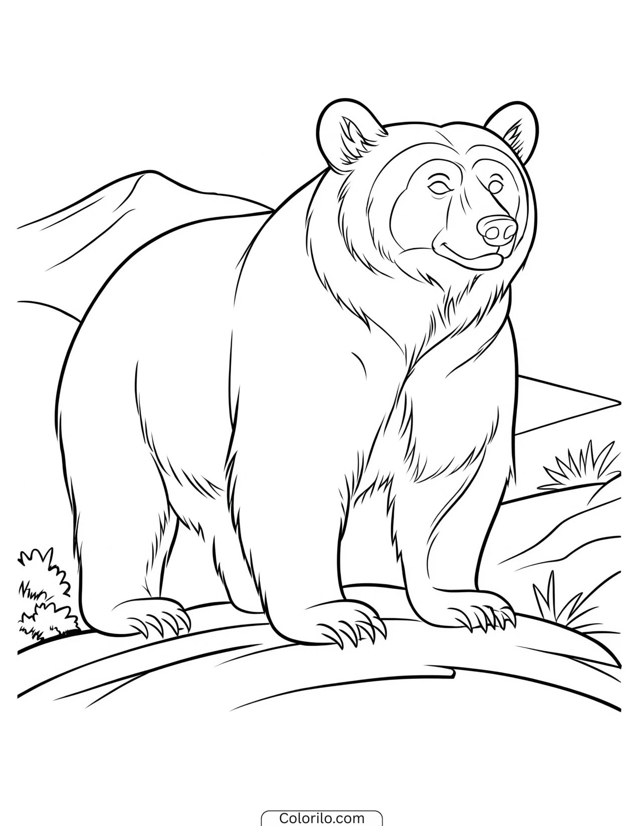 Bear standing with mountains behind it coloring page