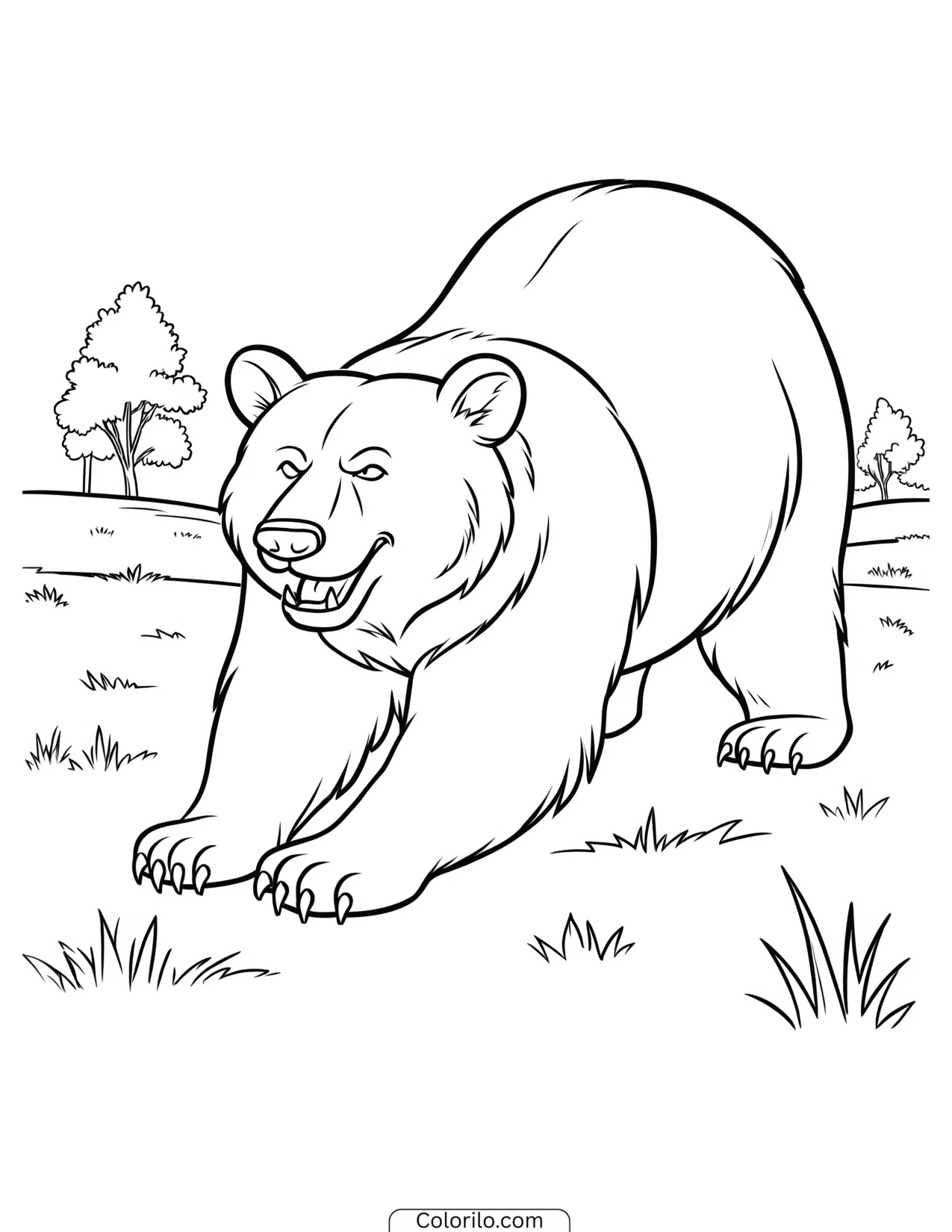 Bear stretching out in an open field coloring page