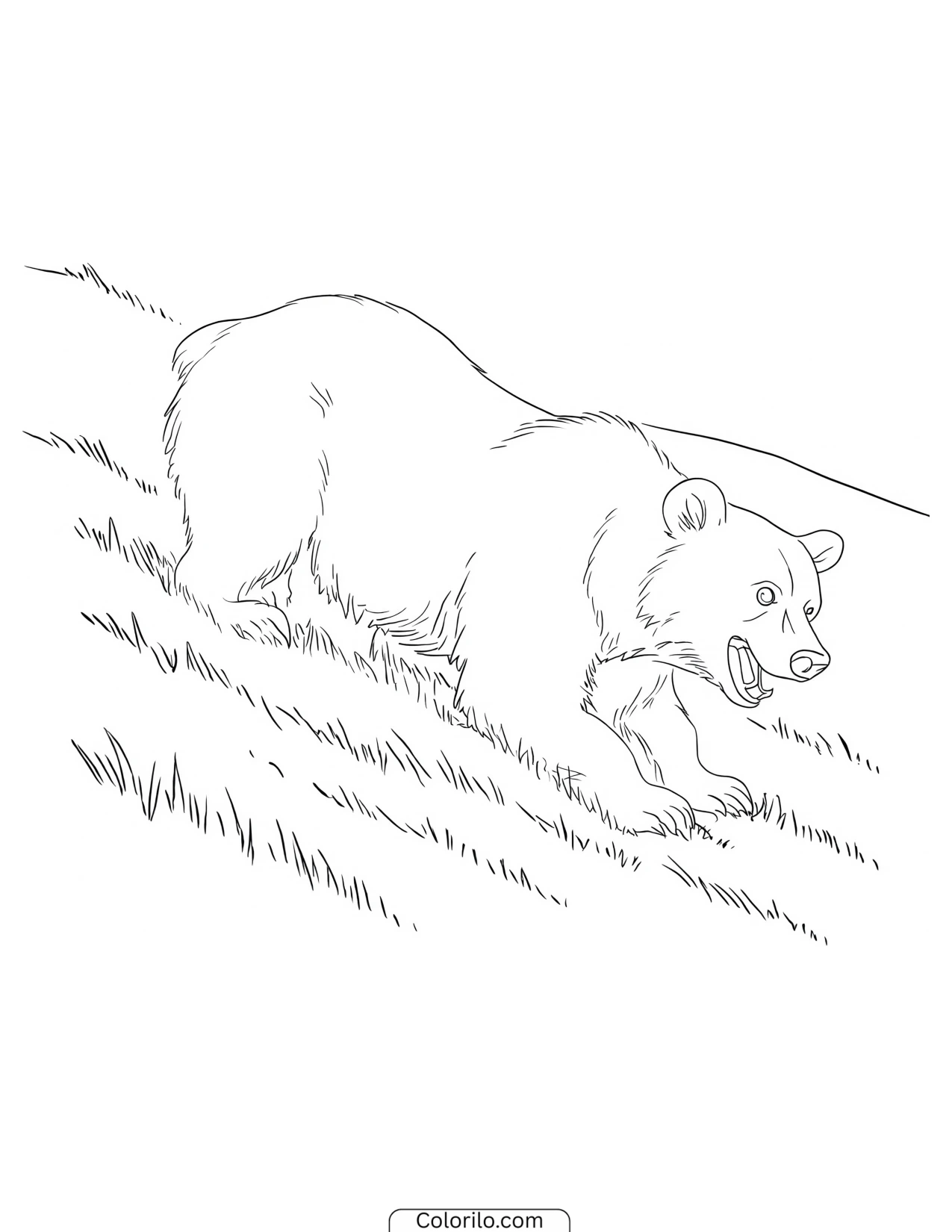 Bear walking down a grassy slope coloring page