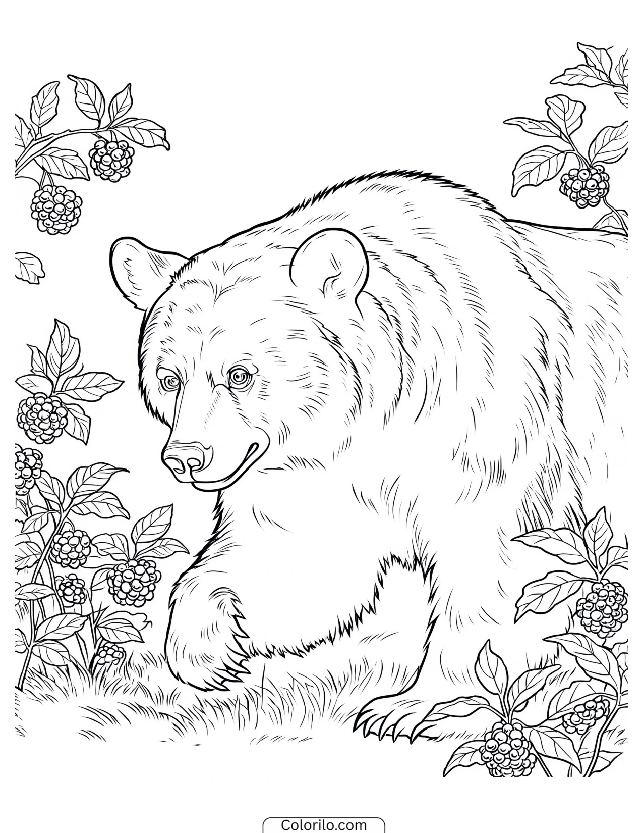 Bear walking through bushes full of berries coloring page