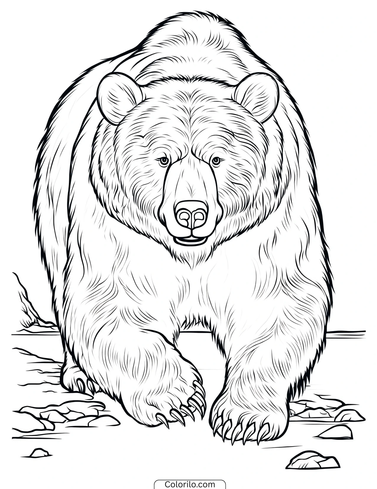 Bear walking straight toward the viewer coloring page