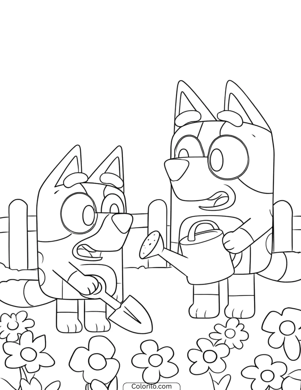 Bluey and Dad gardening and watering flowers at the fence coloring page