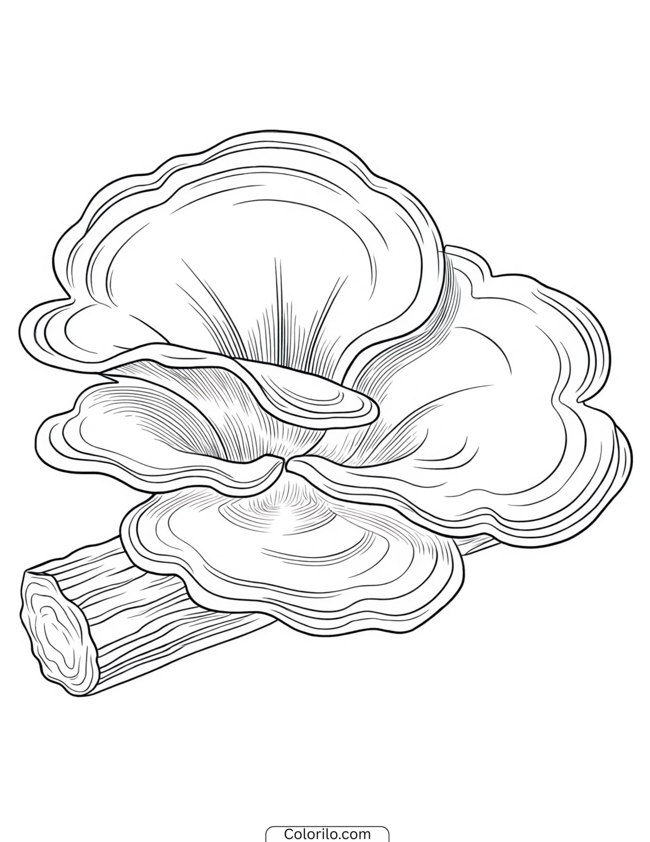 Bracket fungi growing along a fallen log coloring page