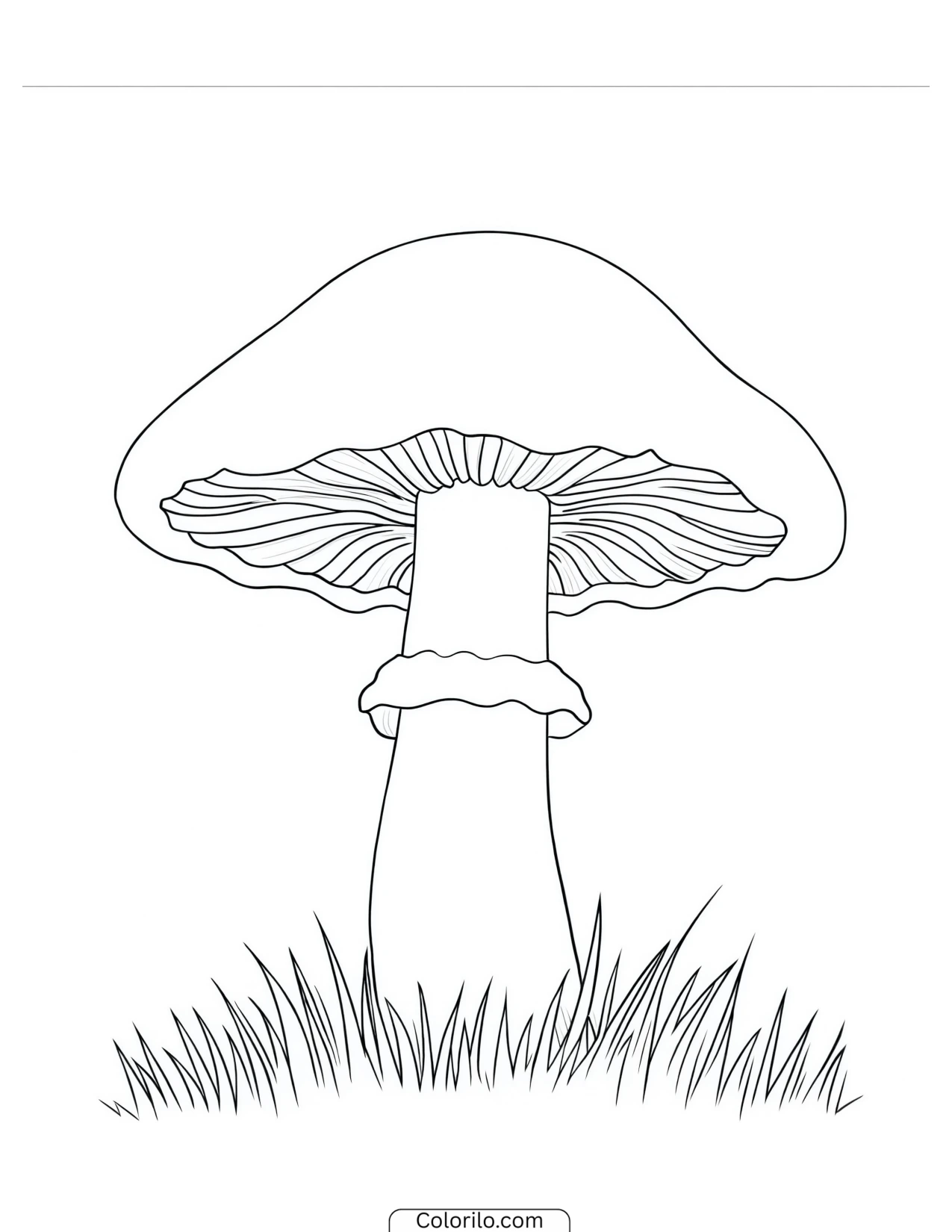 Button mushroom with a broad rounded cap coloring page