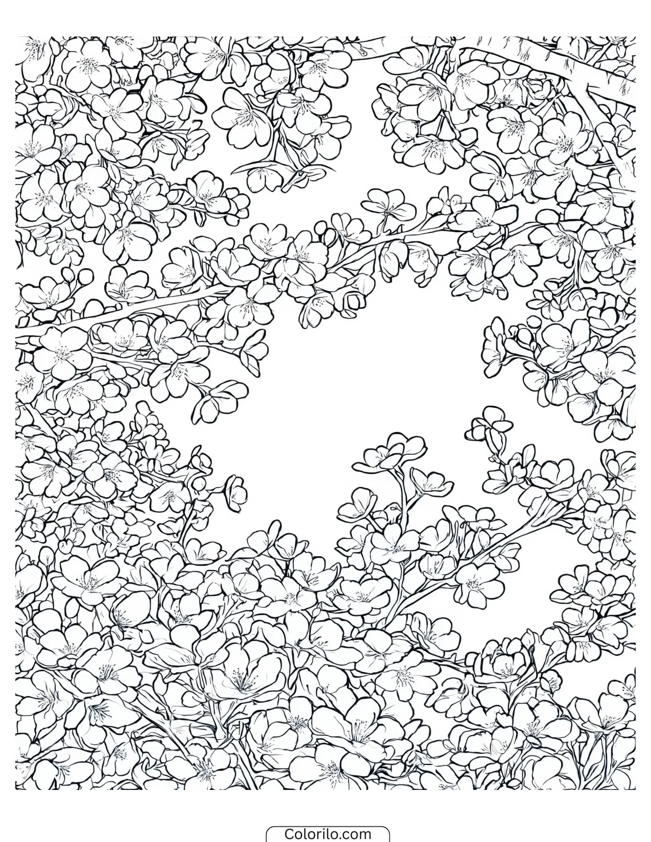 Cherry blossom arranged as a full page frame coloring page