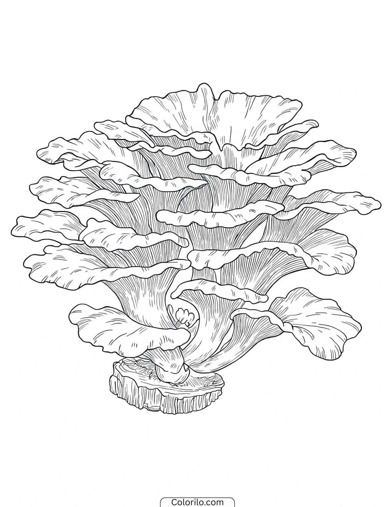Cluster of mushrooms on the woodland floor coloring page