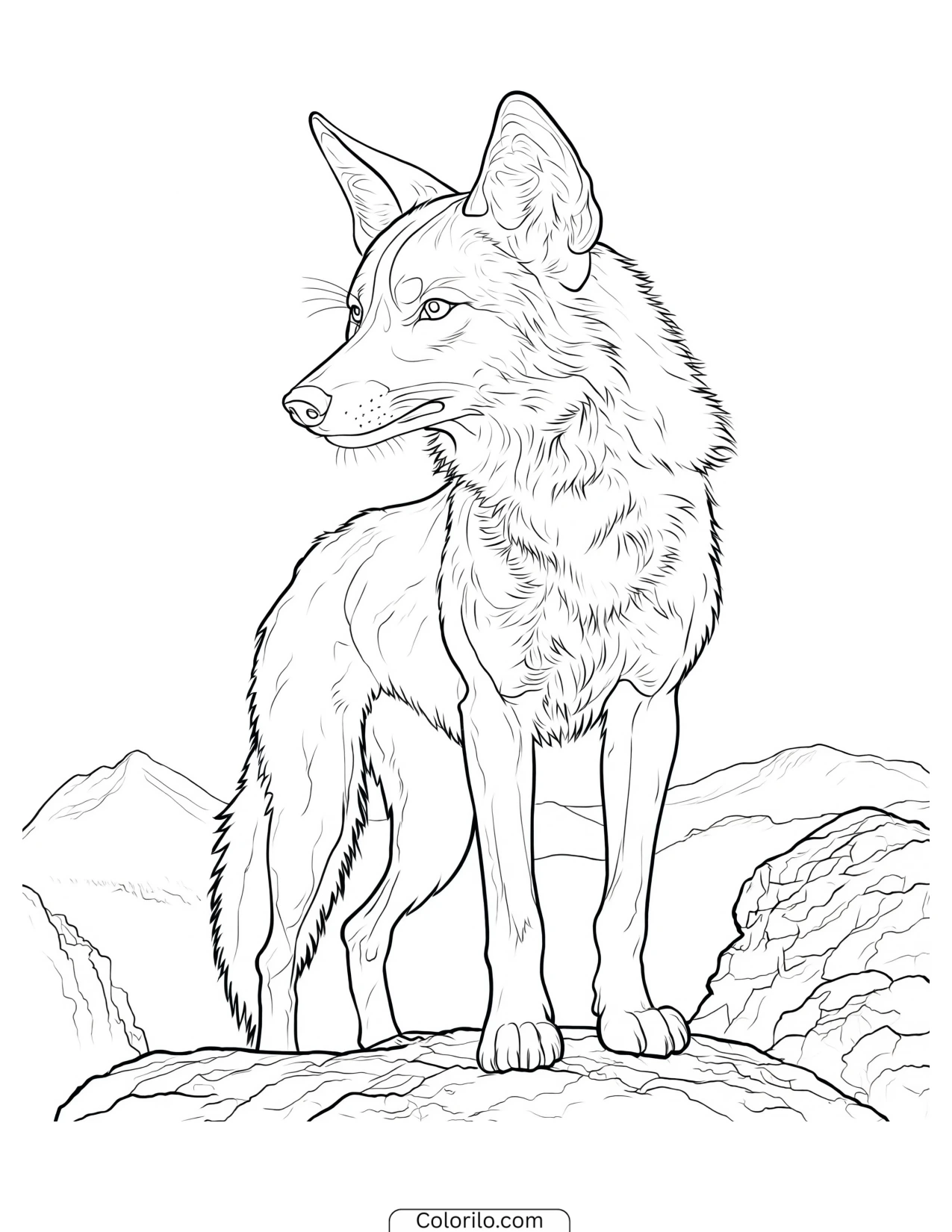 Coyote standing on a rocky ledge coloring page