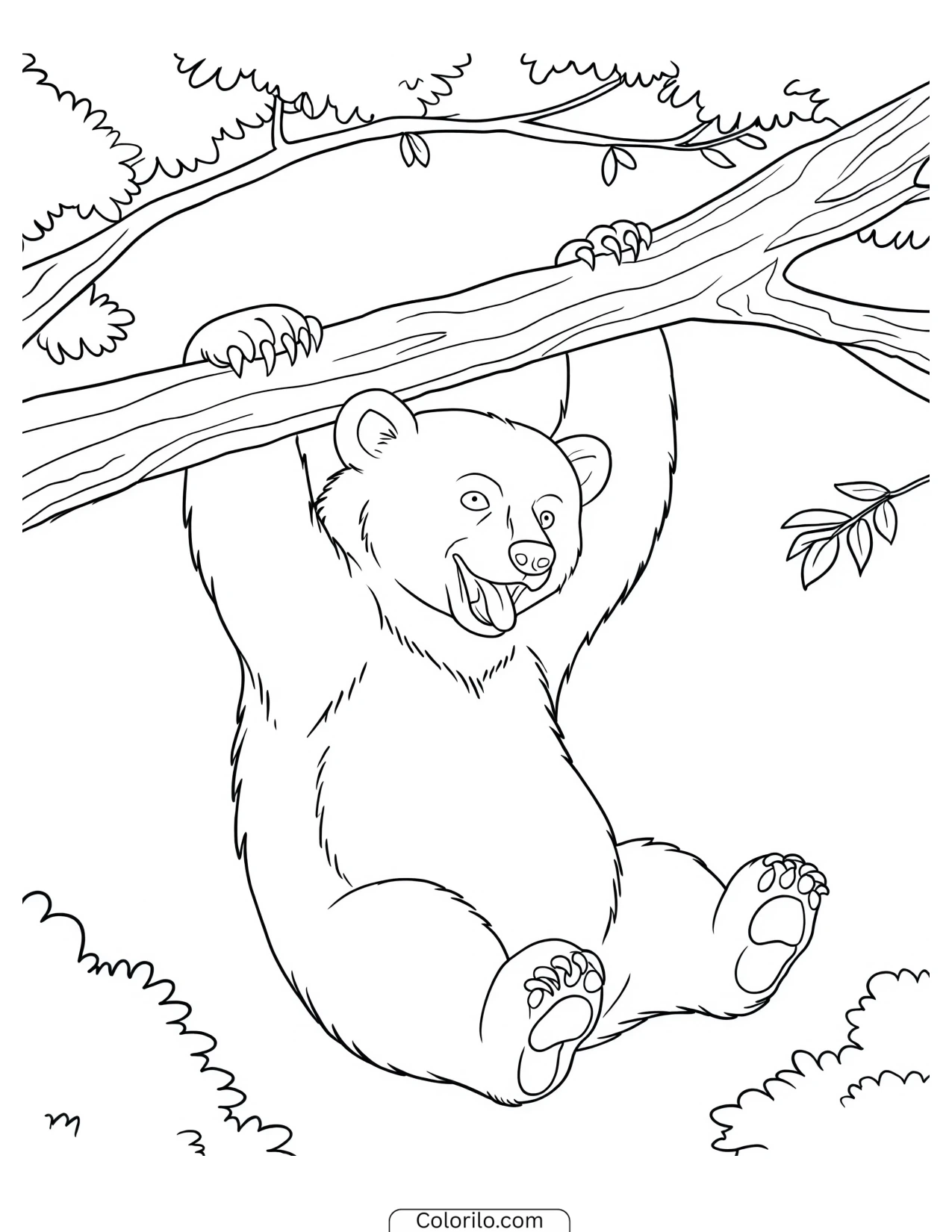Bear cub dangling with its tongue sticking out coloring page