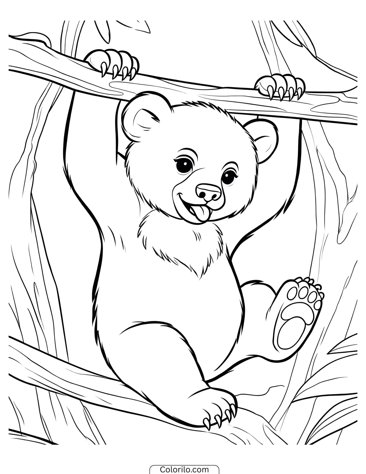 Bear cub hanging from a tree branch coloring page