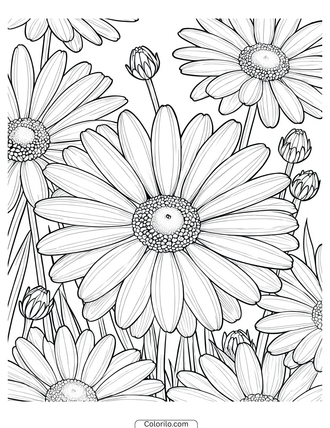 Arranged bouquet of daisies coloring page