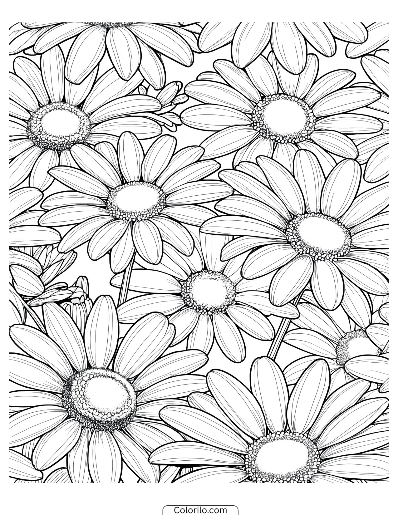 Repeating pattern of clustered daisies coloring page