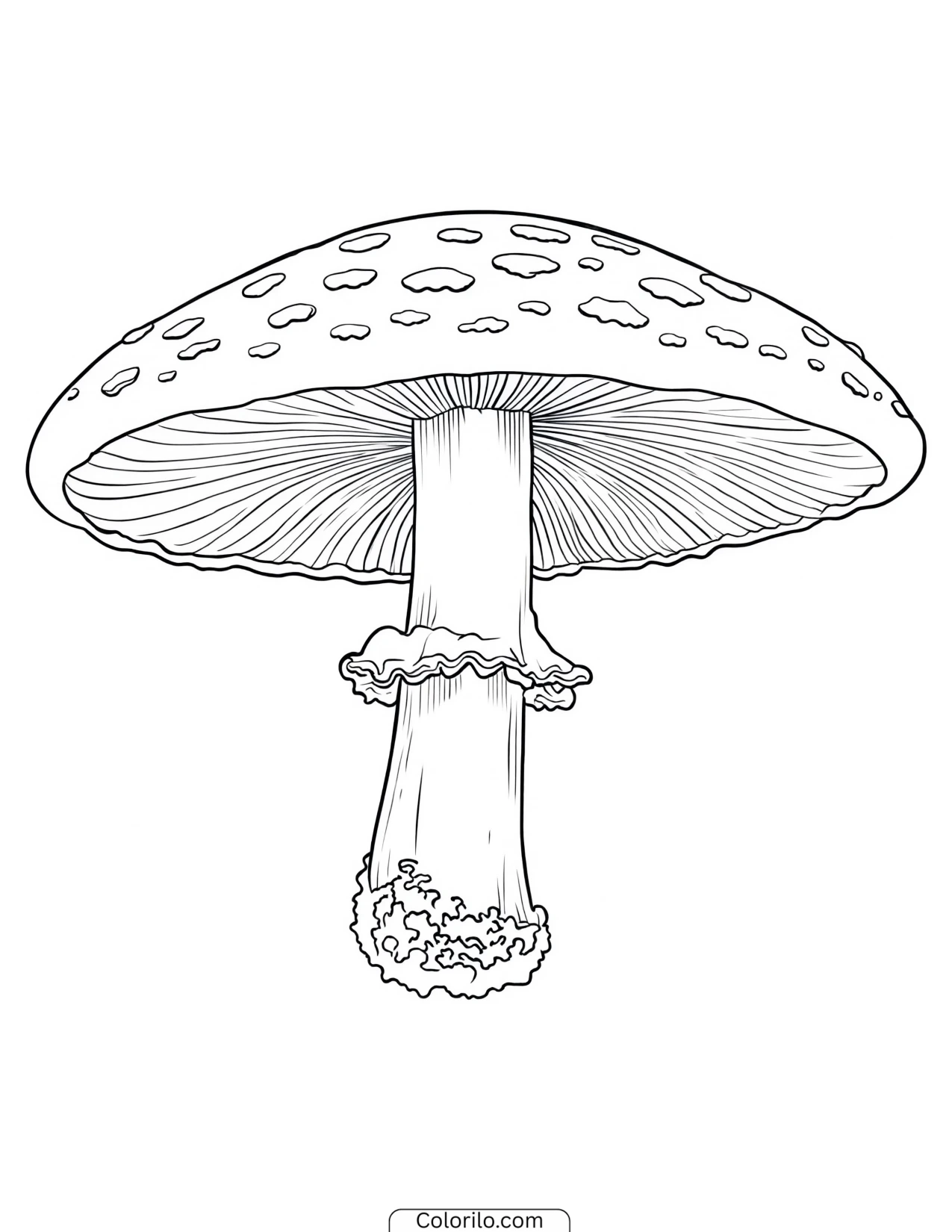 Toadstool with white spots across its cap coloring page