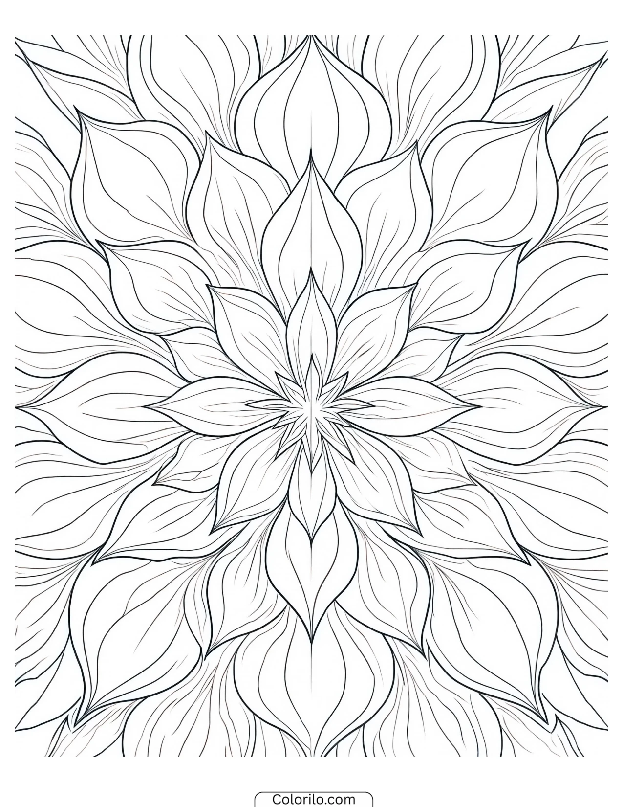 Eight-petal bloom radiating into a star coloring page