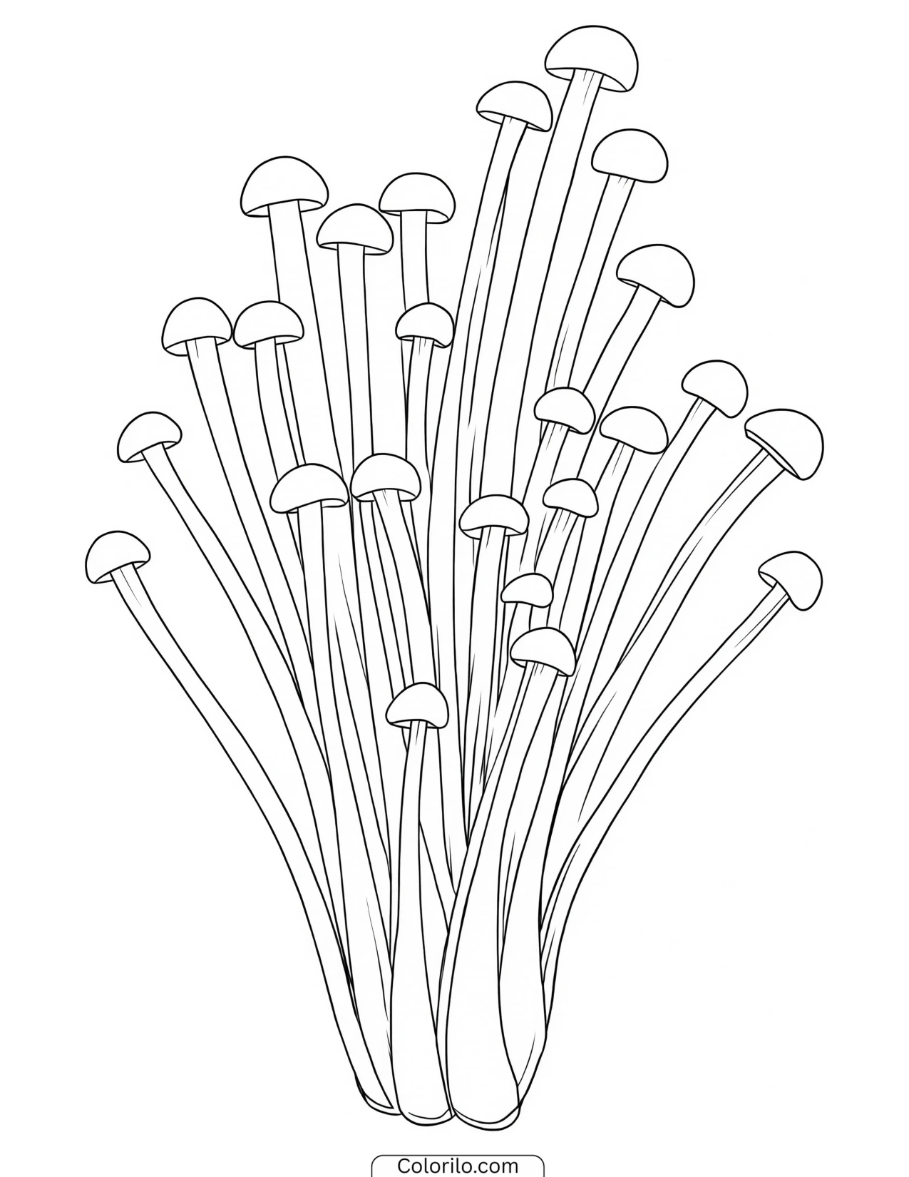 Cluster of long-stemmed enoki mushrooms coloring page
