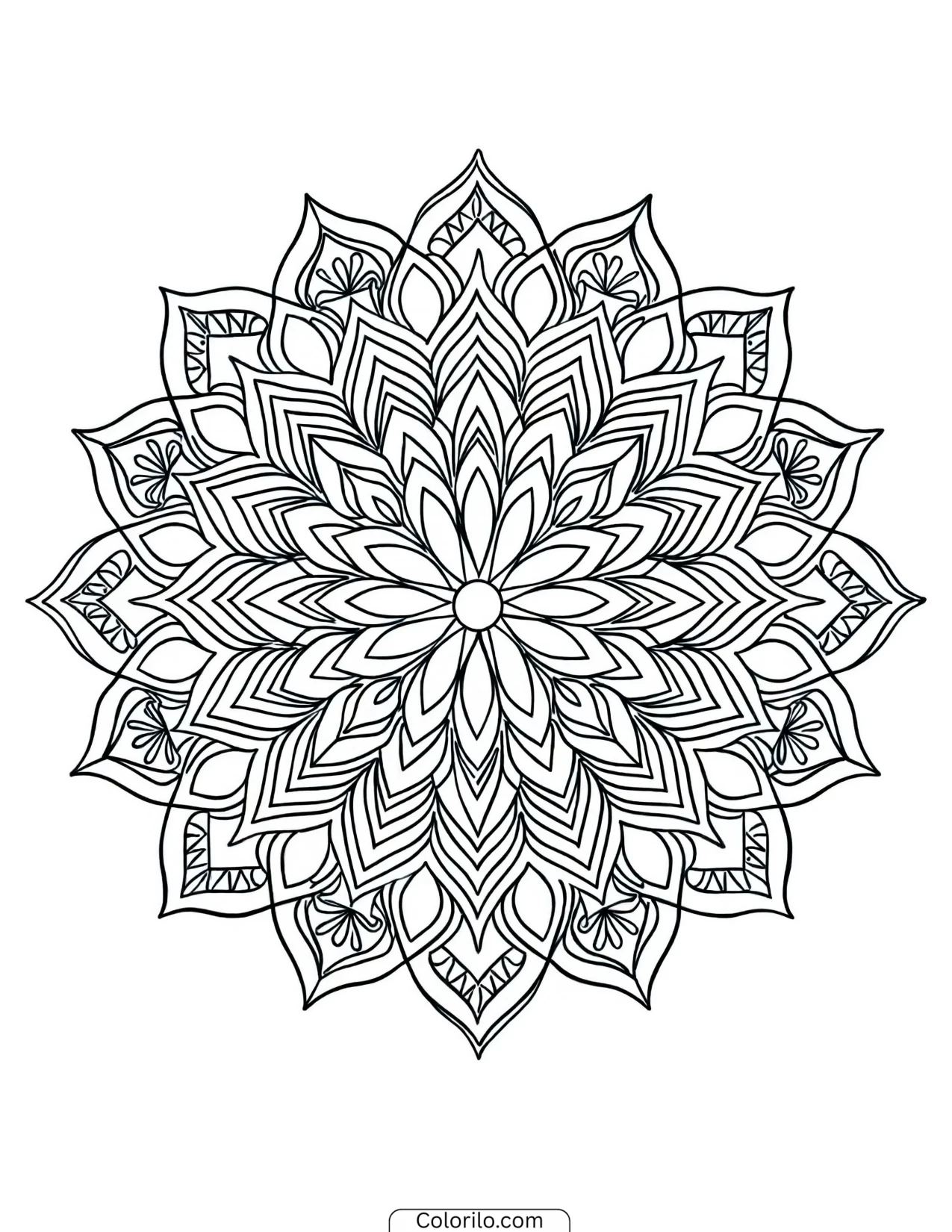 Sunburst mandala with feathered petals coloring page