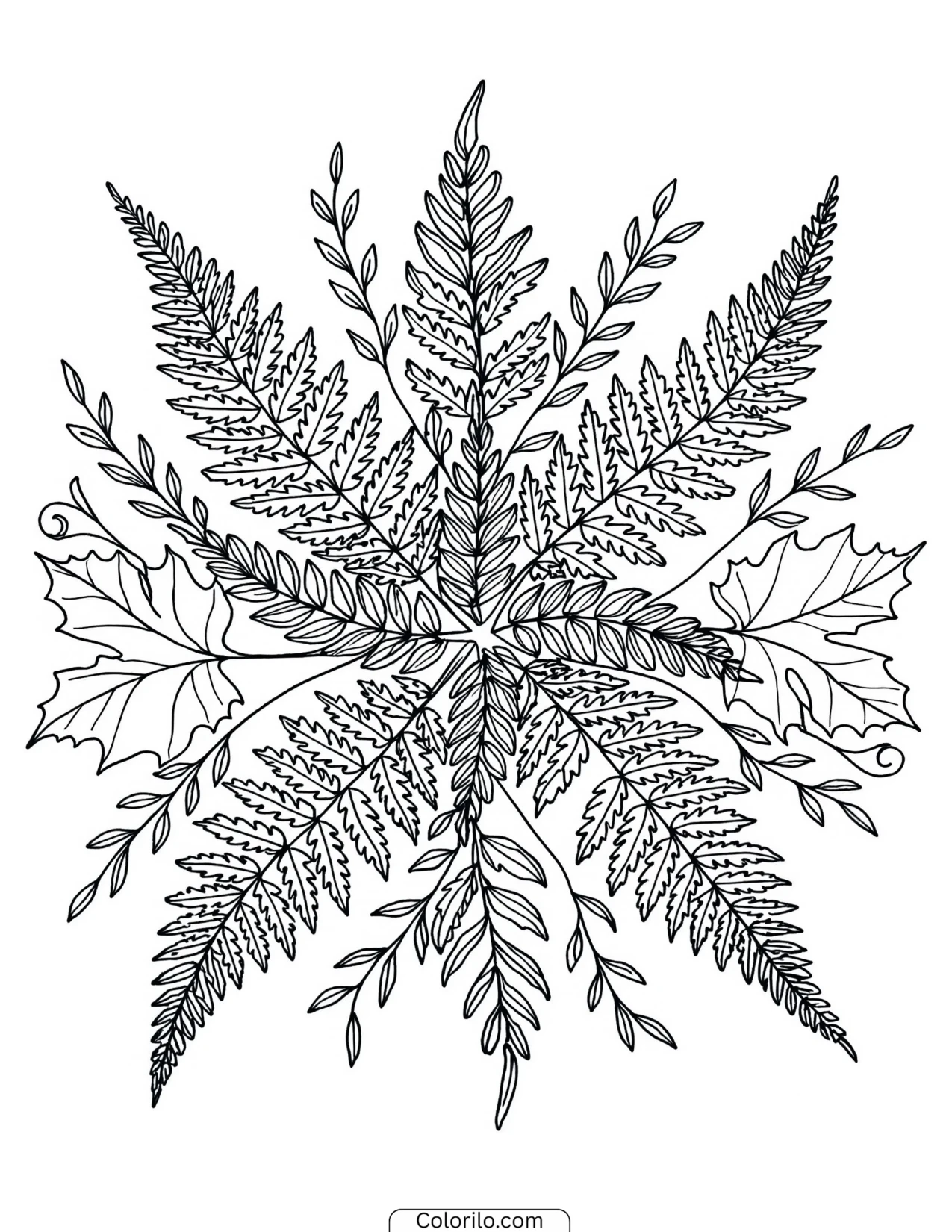 Snowflake burst made of fern-like leaves coloring page