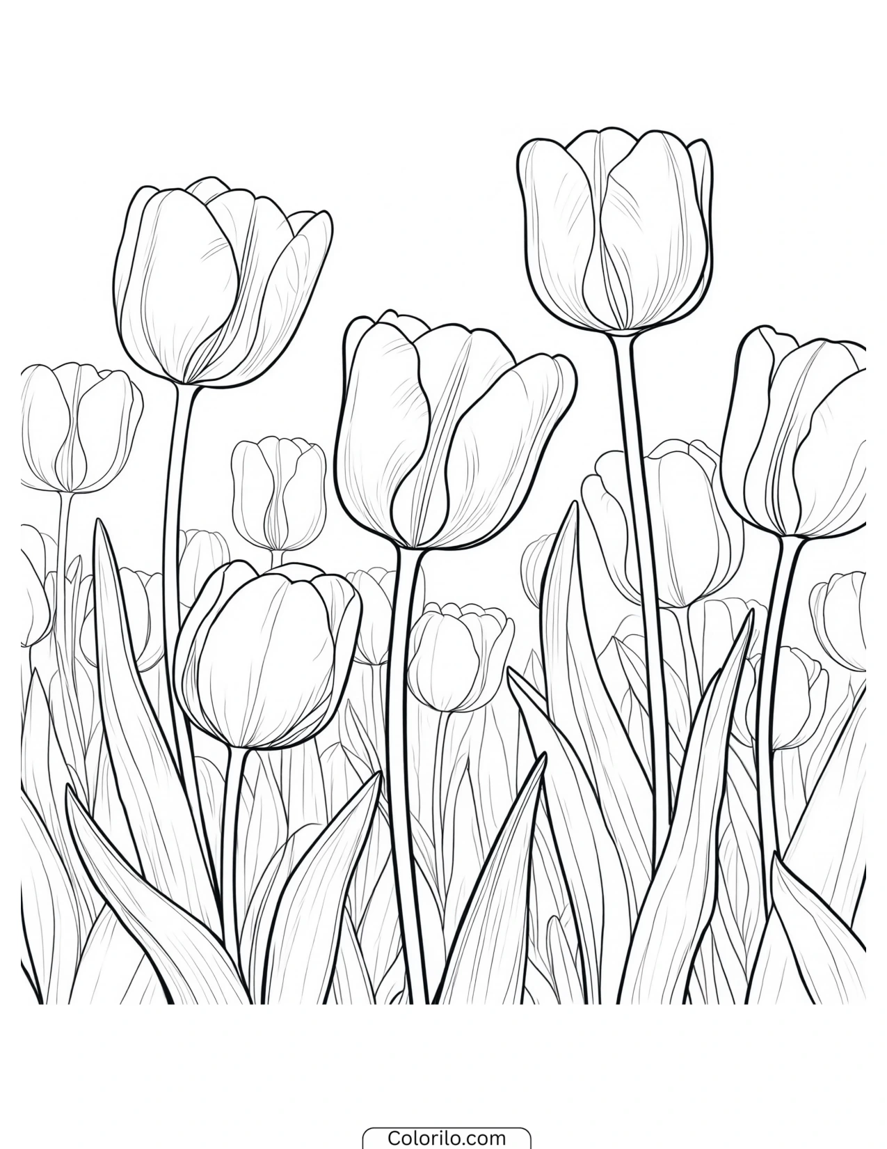 Tulips stretching across an open field coloring page