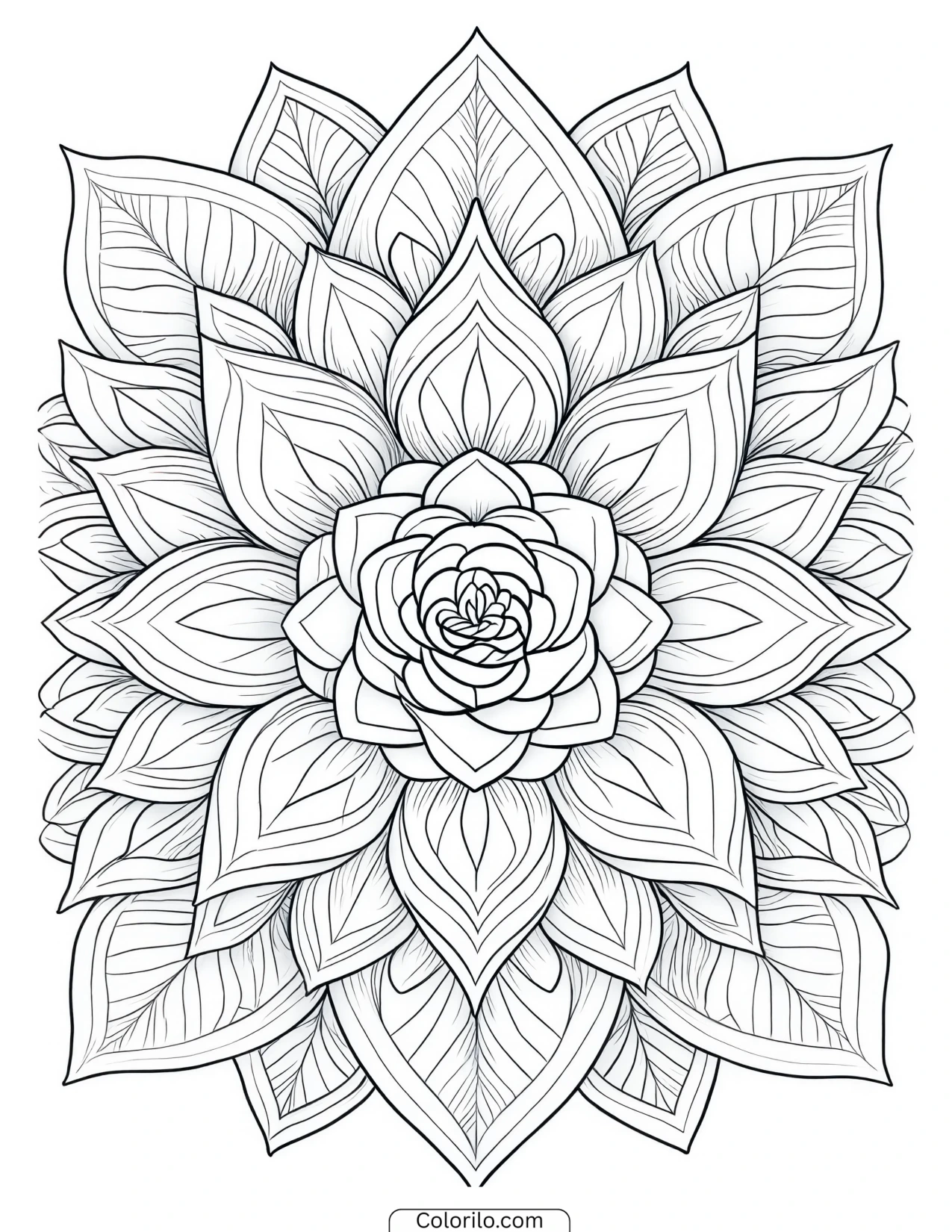 Mandala built from radiating floral shapes coloring page