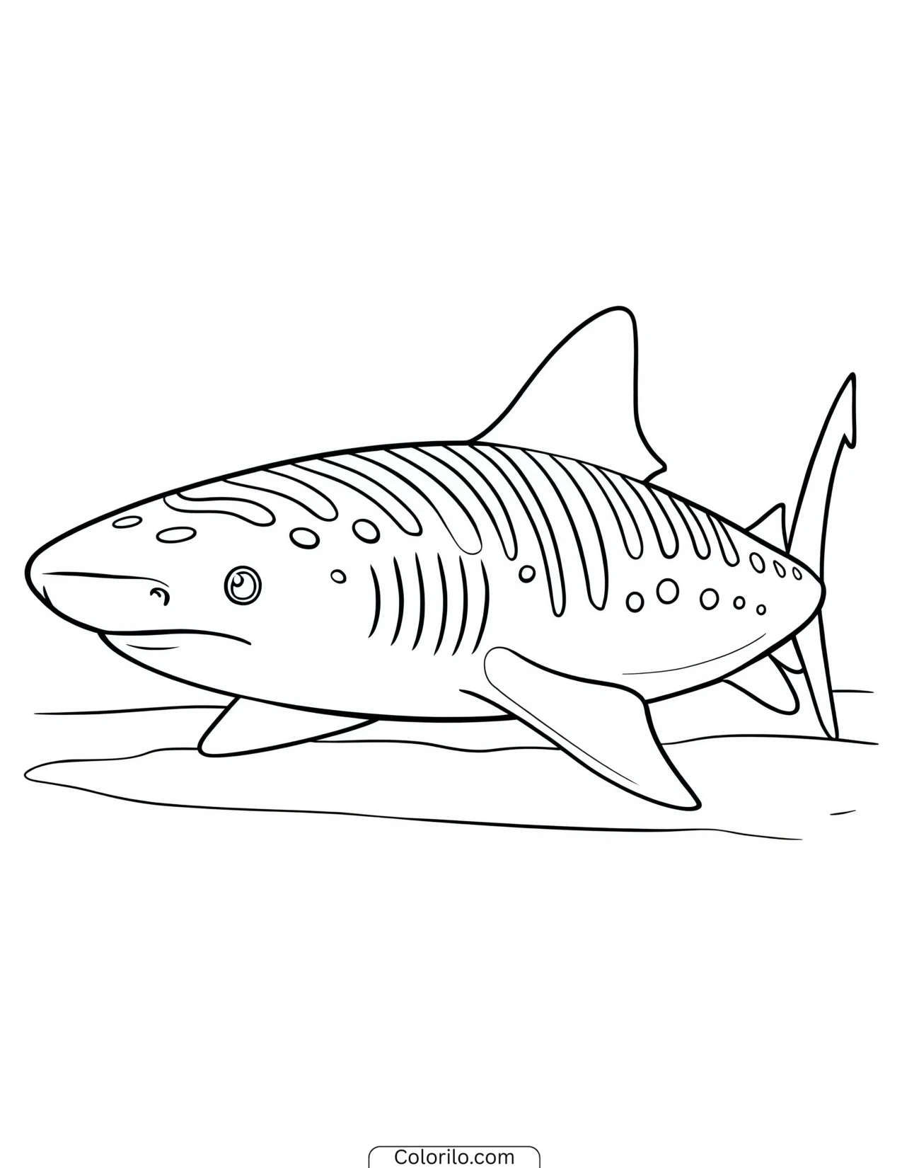 Shark drawn facing forward toward the viewer coloring page