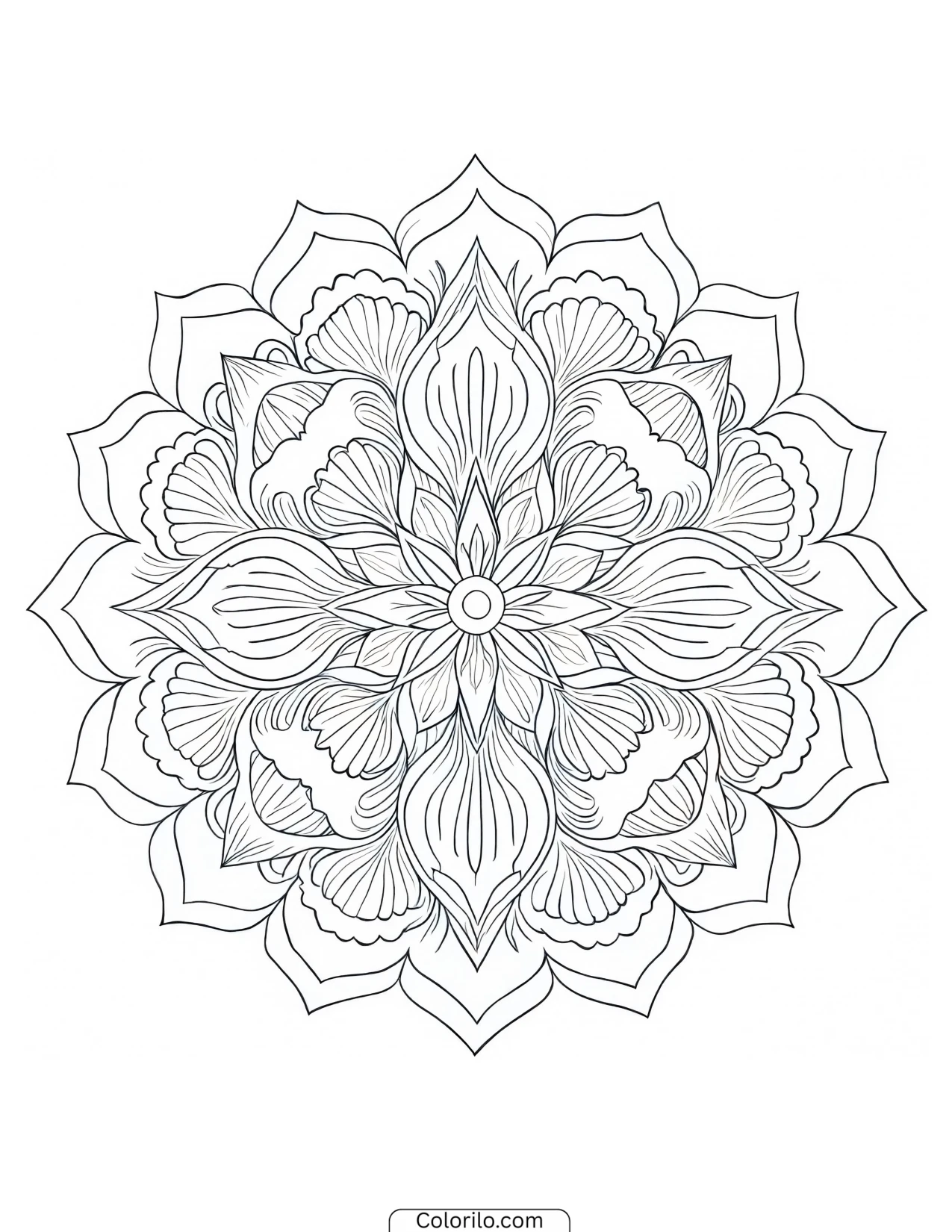 Four-petal mandala with ruffled shell edges coloring page