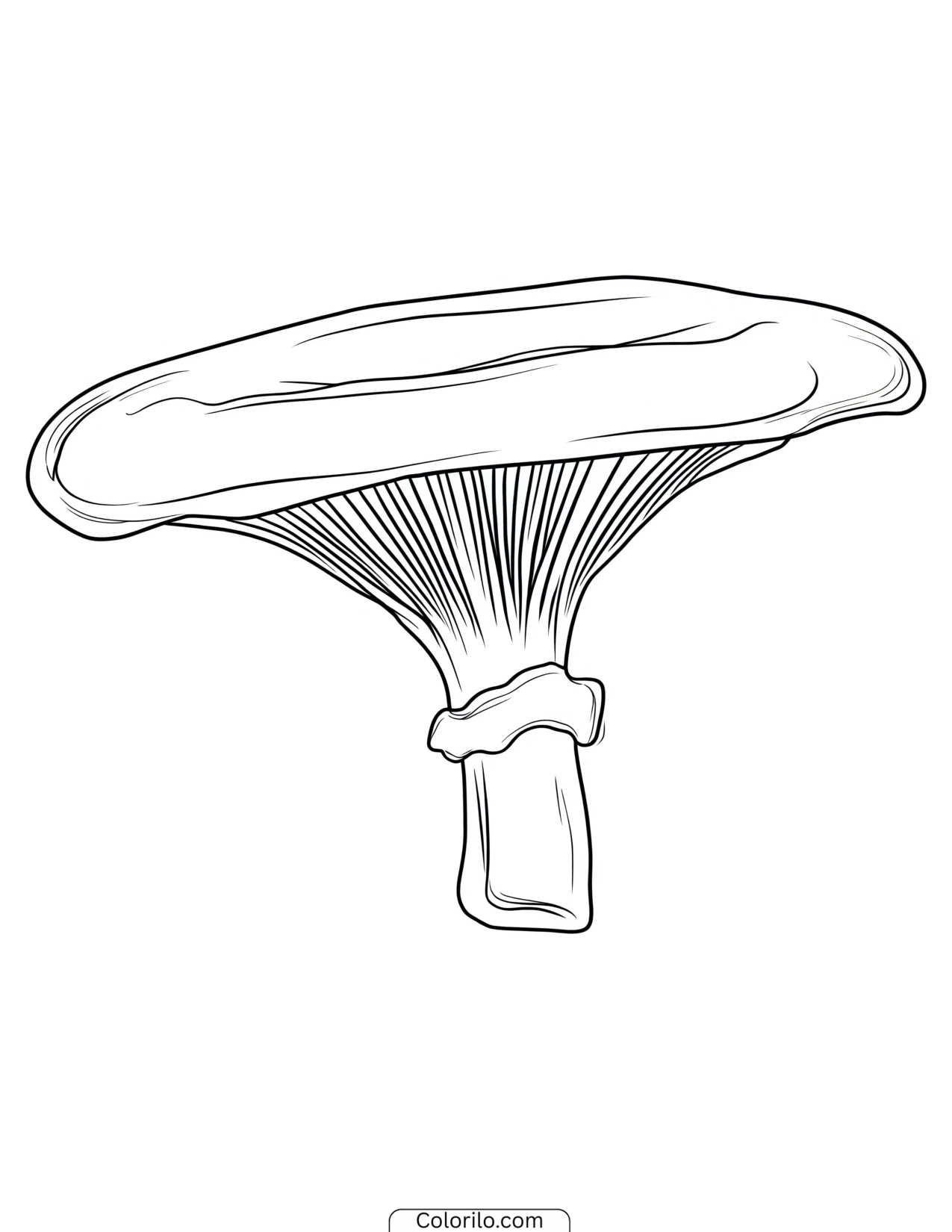 Mushroom with visible gills under the cap coloring page