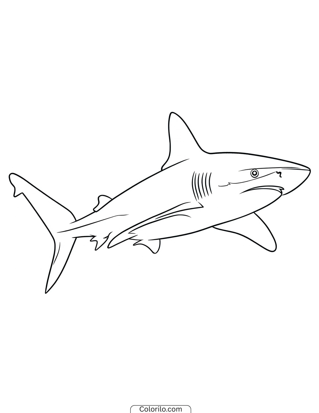 Great white shark breaching through the waves coloring page
