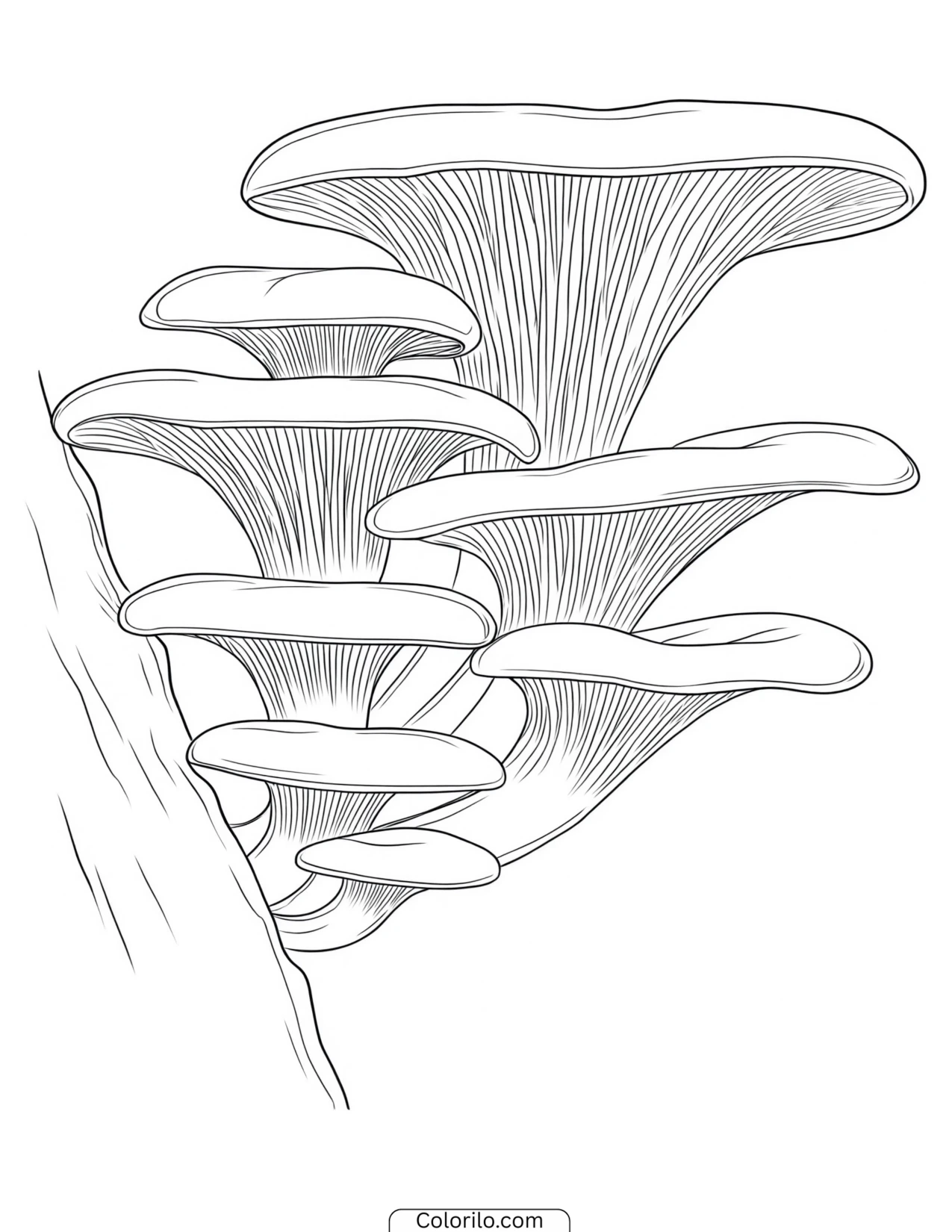 Small mushrooms grouped closely together coloring page