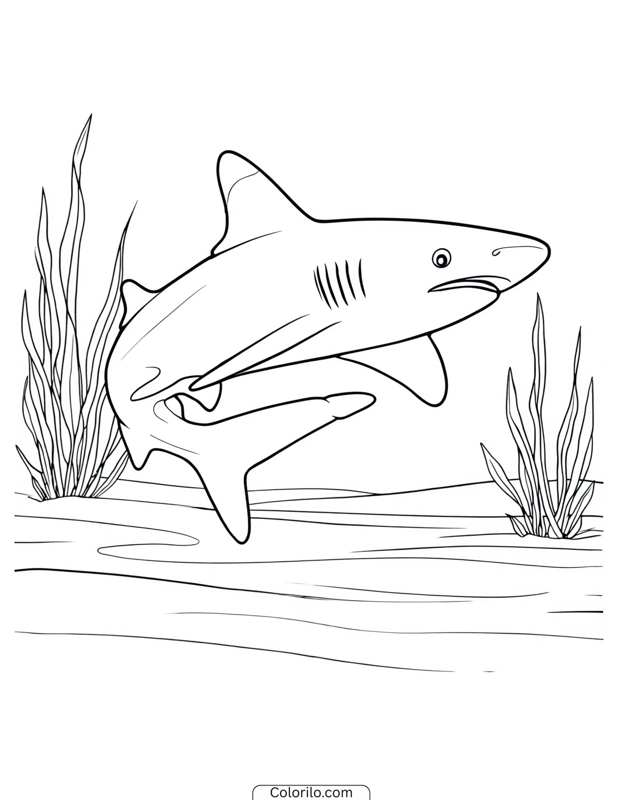 Hammerhead shark rising above the water coloring page