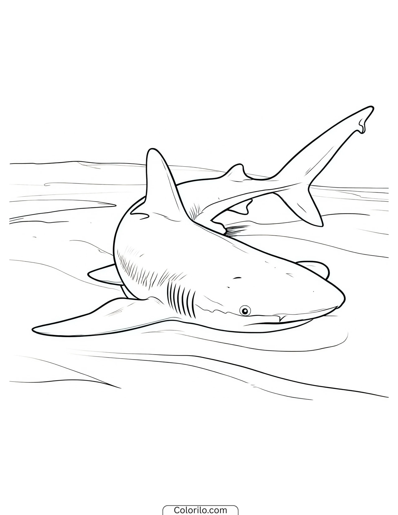Hammerhead shark swimming over rocks coloring page