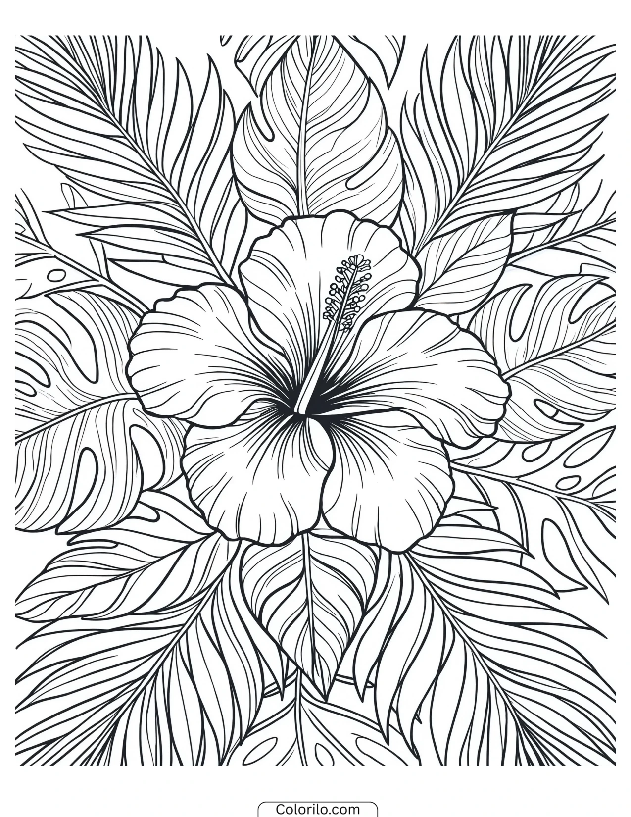 Hibiscus surrounded by broad tropical leaves coloring page