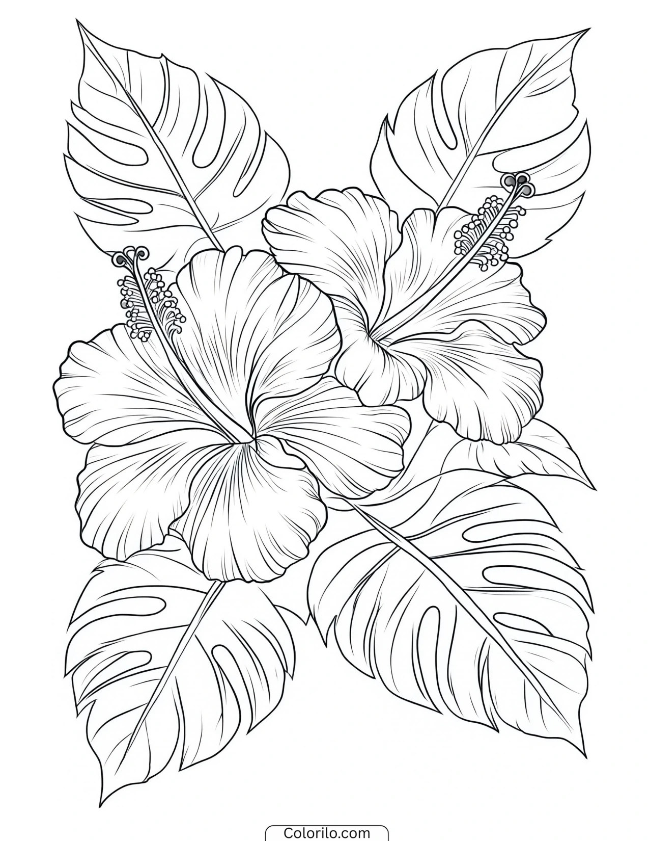 Hibiscus paired with monstera leaves coloring page