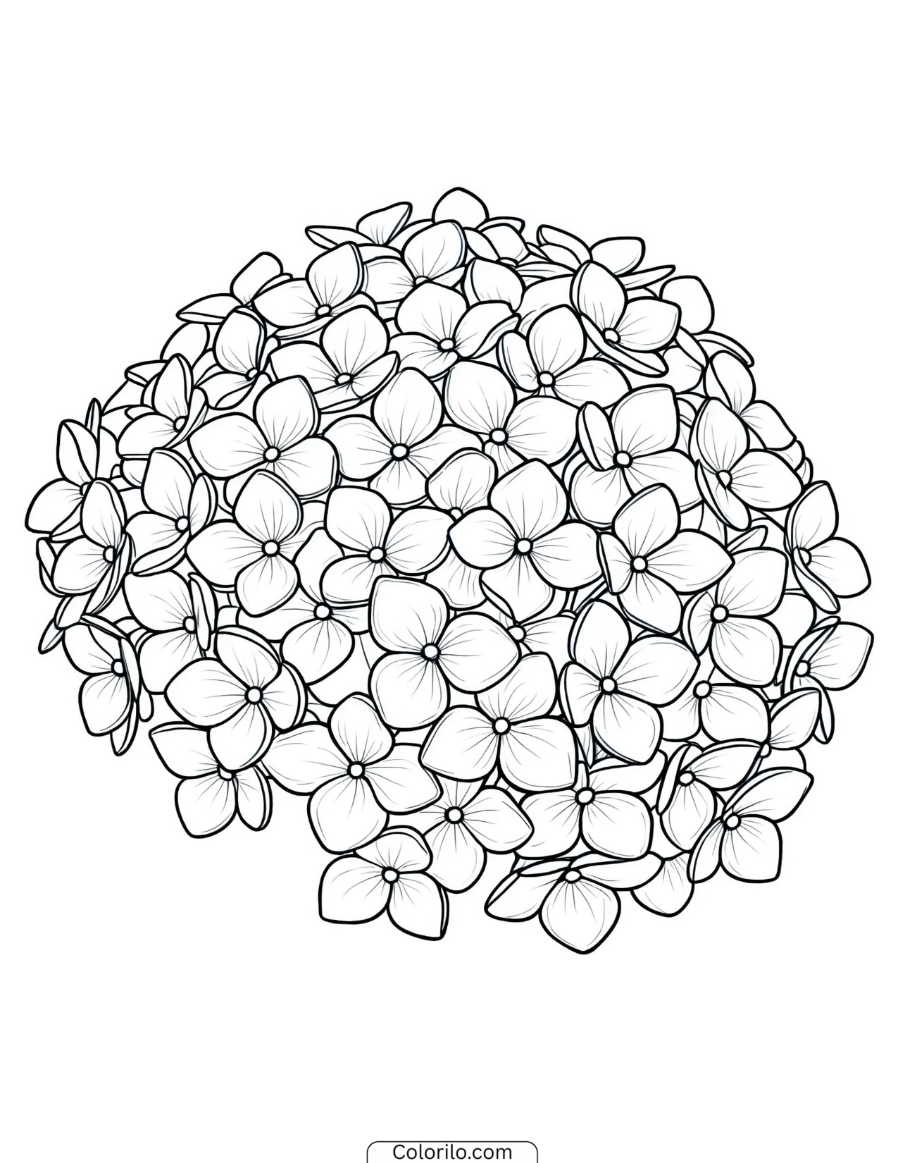 Dense cluster of hydrangea florets coloring page