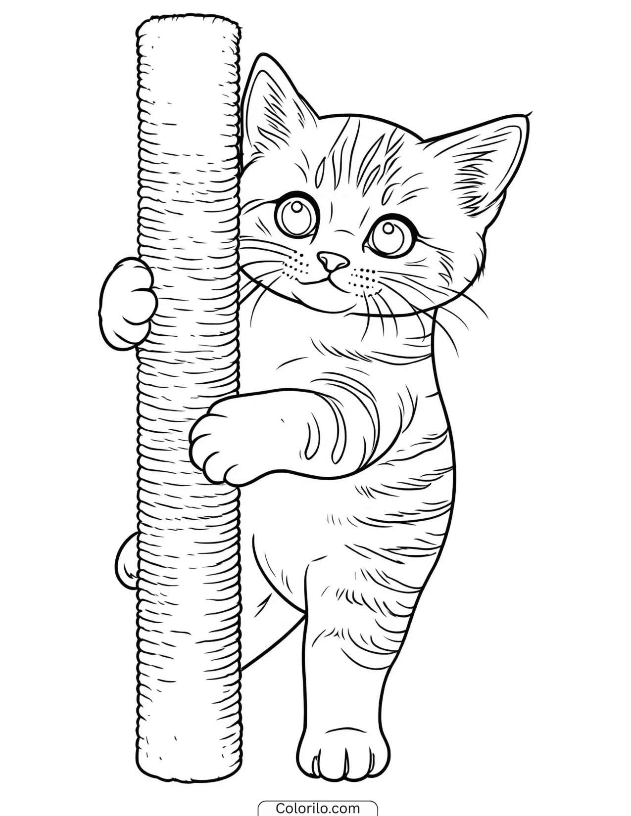 Kitten clinging to the side of a scratching post coloring page