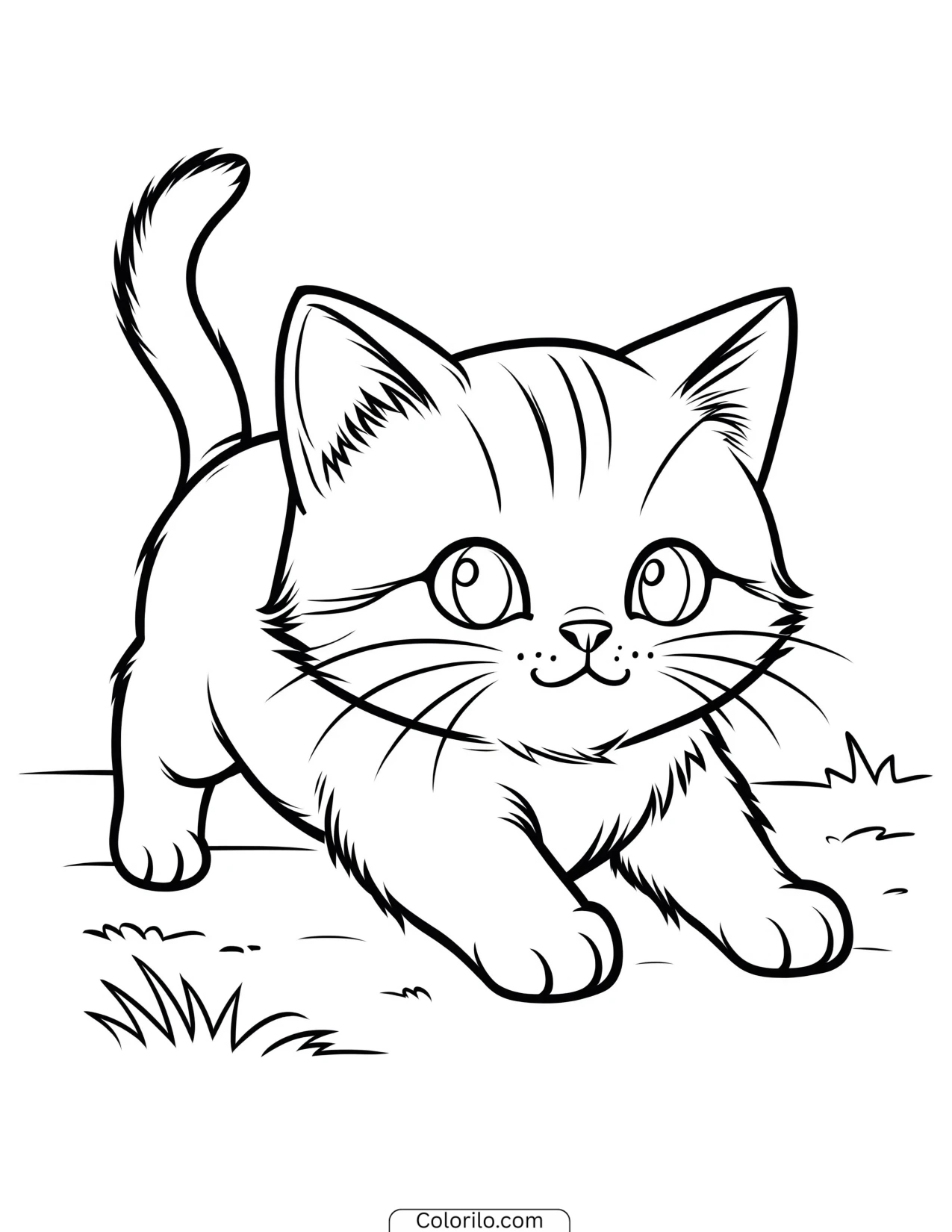 Kitten crouched low preparing to pounce coloring page