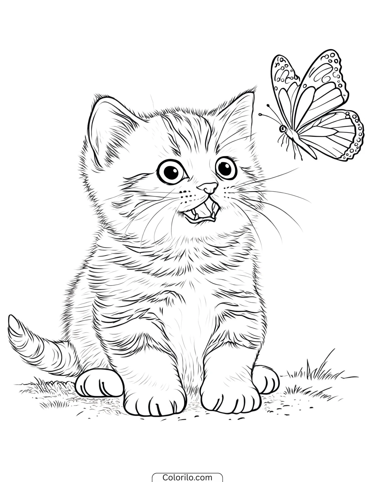 Curious kitten inspecting a butterfly coloring page