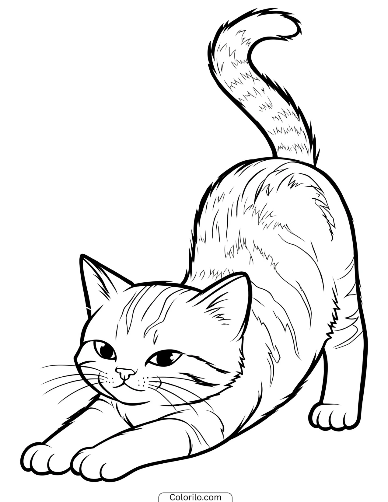 Kitten in a deep full-body stretch coloring page