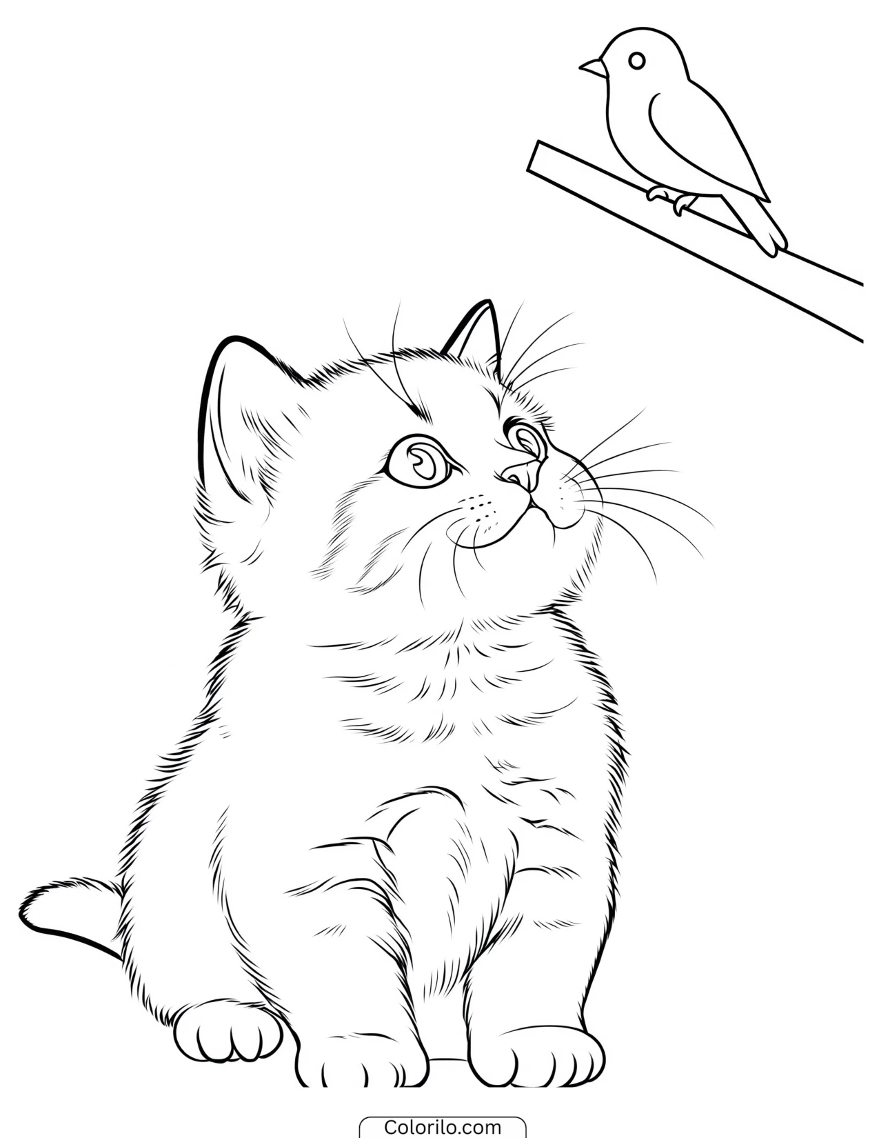 Kitten gazing up at a bird coloring page