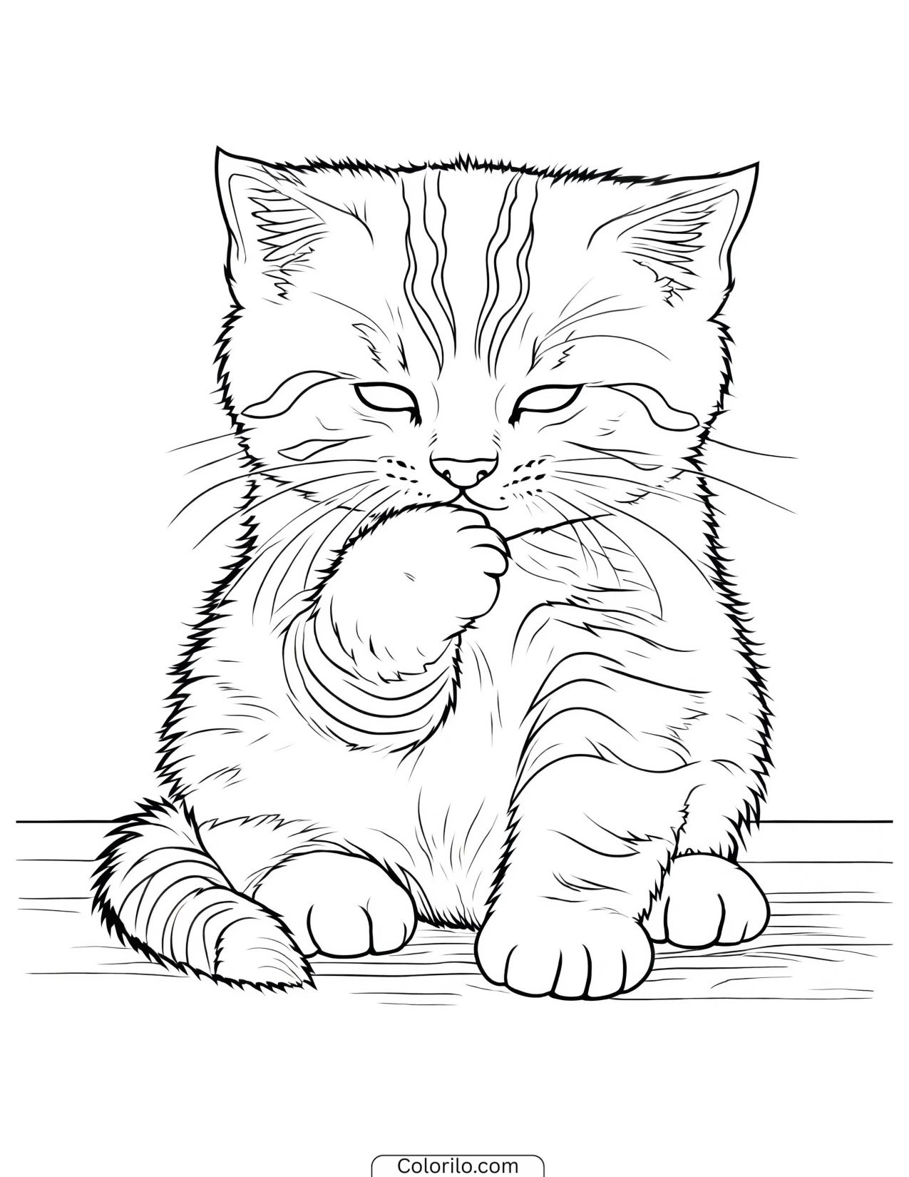 Kitten grooming its front paw coloring page